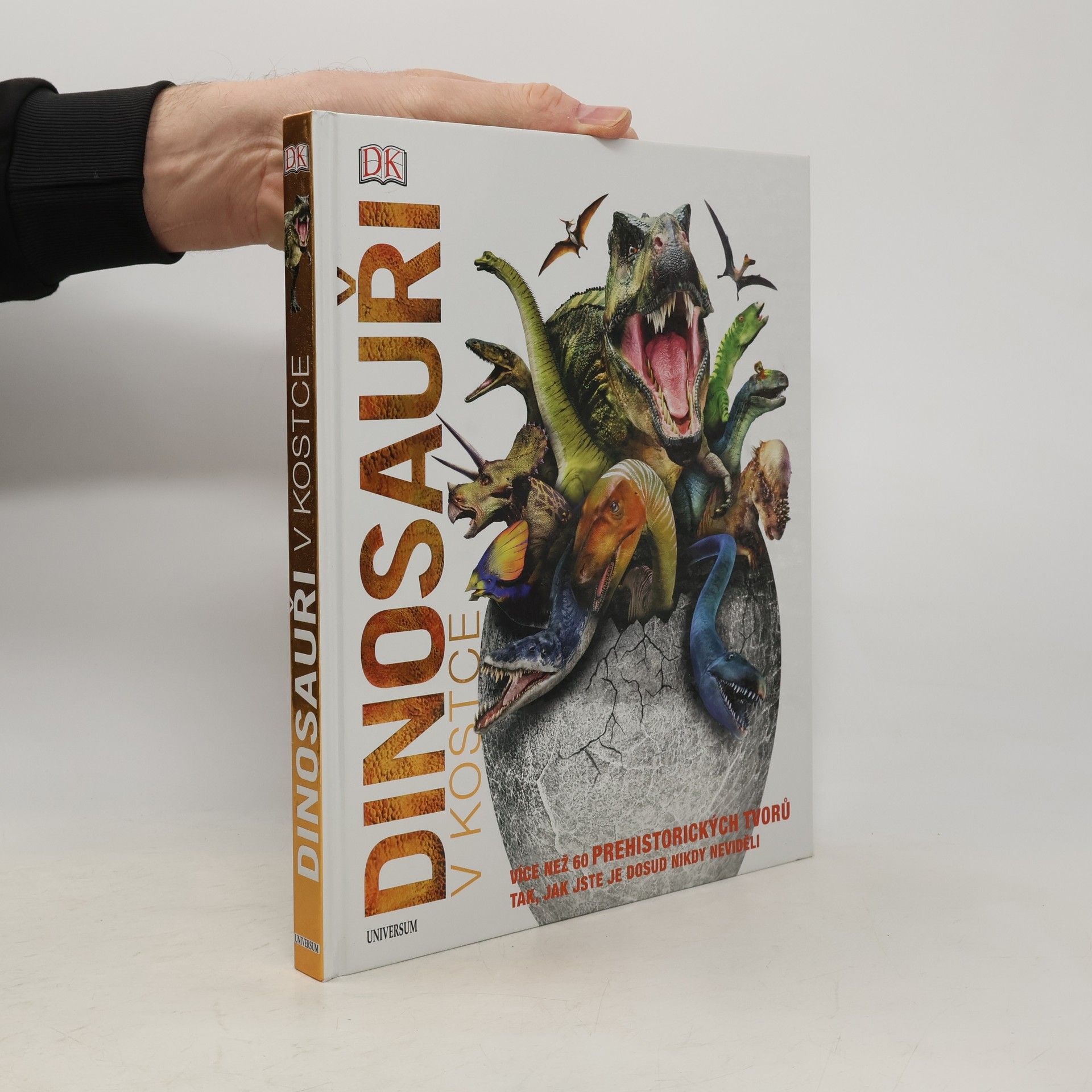Various authors Dinosauři v kostce