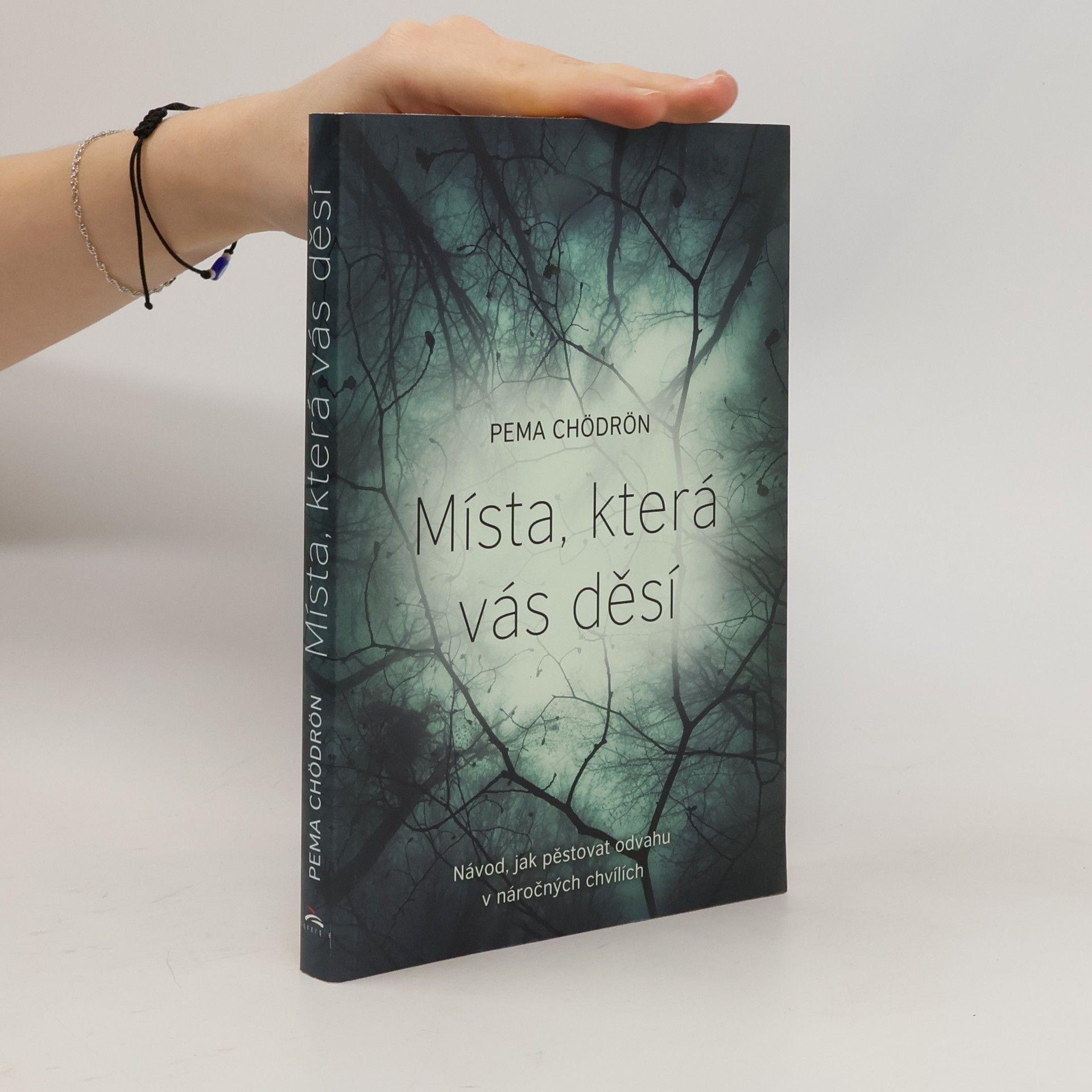 Pema Chödrön Místa, která vás děsí