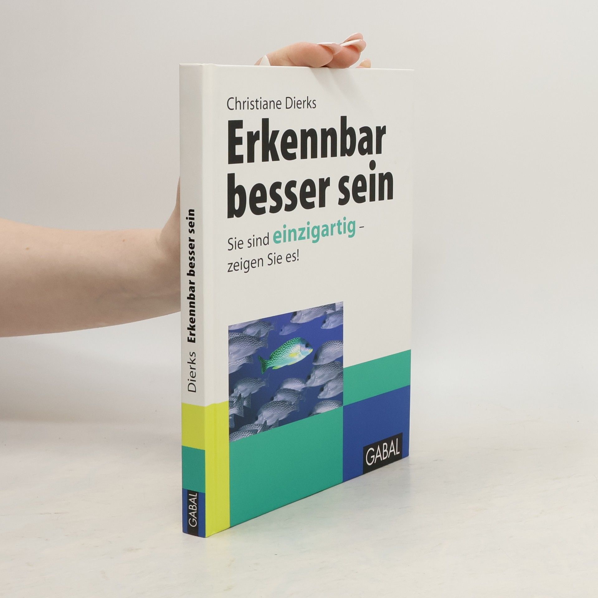 Christiane Dierks Erkennbar besser sein