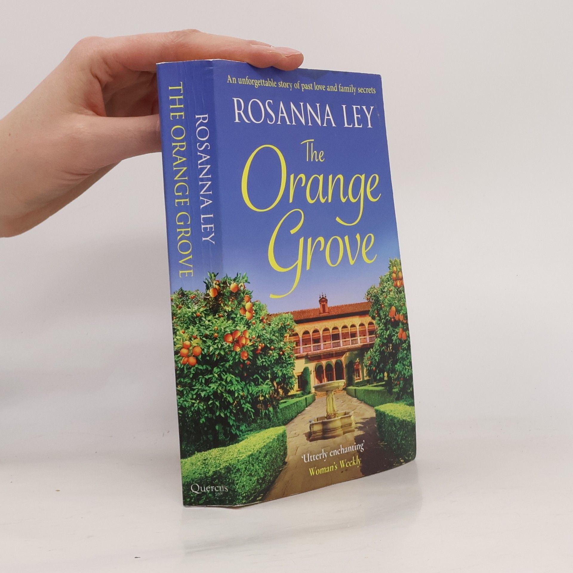 Rosanna Ley The Orange Grove