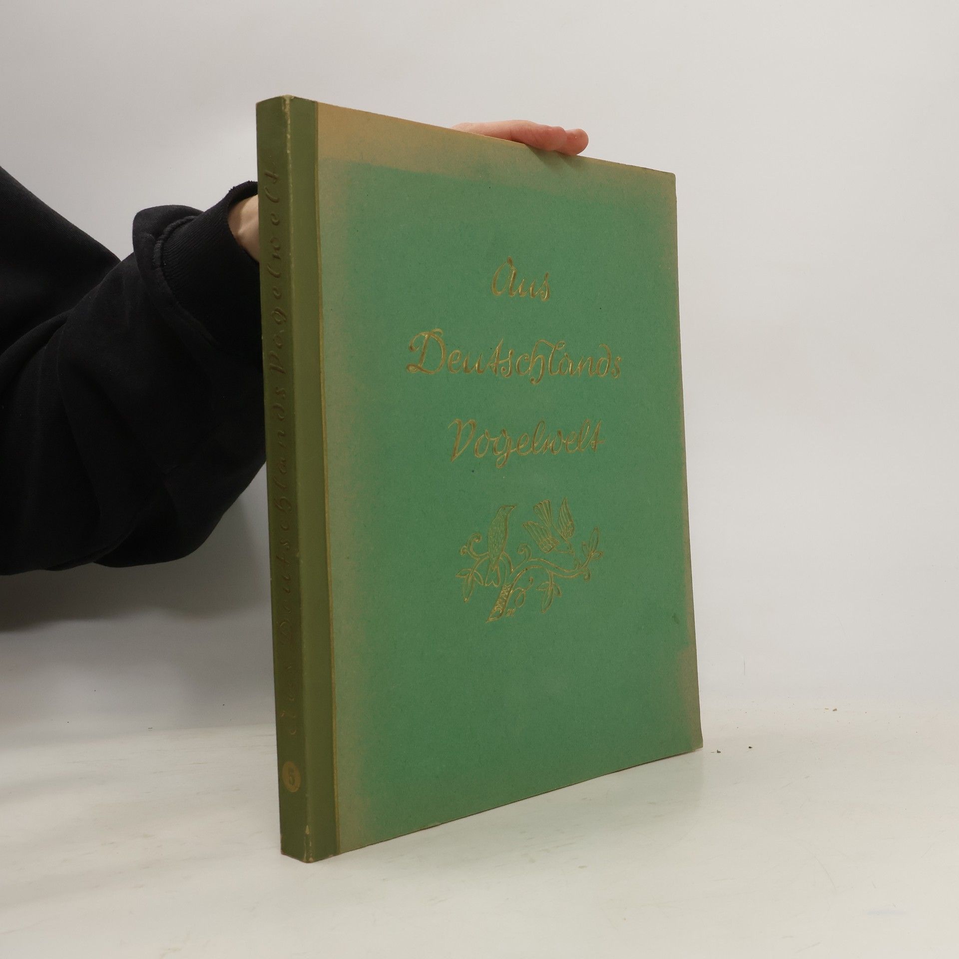 Autorenkollektiv Das Deutschlands Dogelwelt