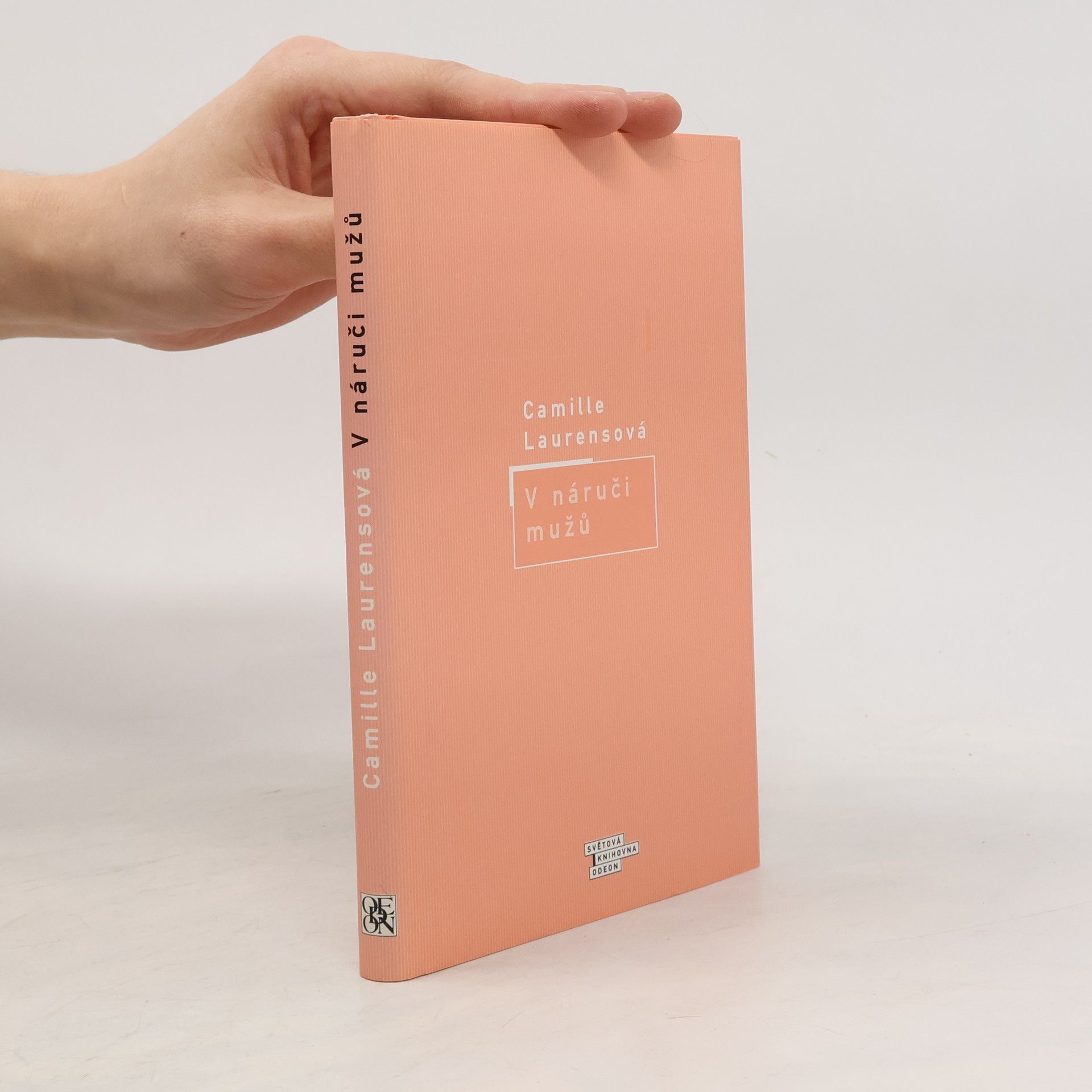 Camille Laurens V náruči mužů