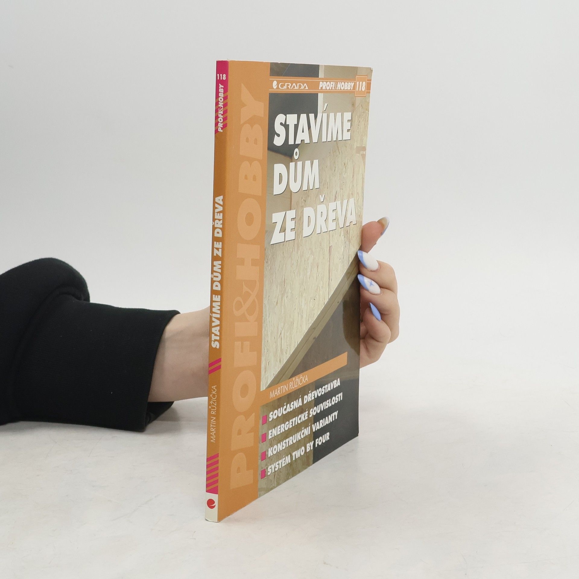 Martin Růžička Stavíme dům ze dřeva