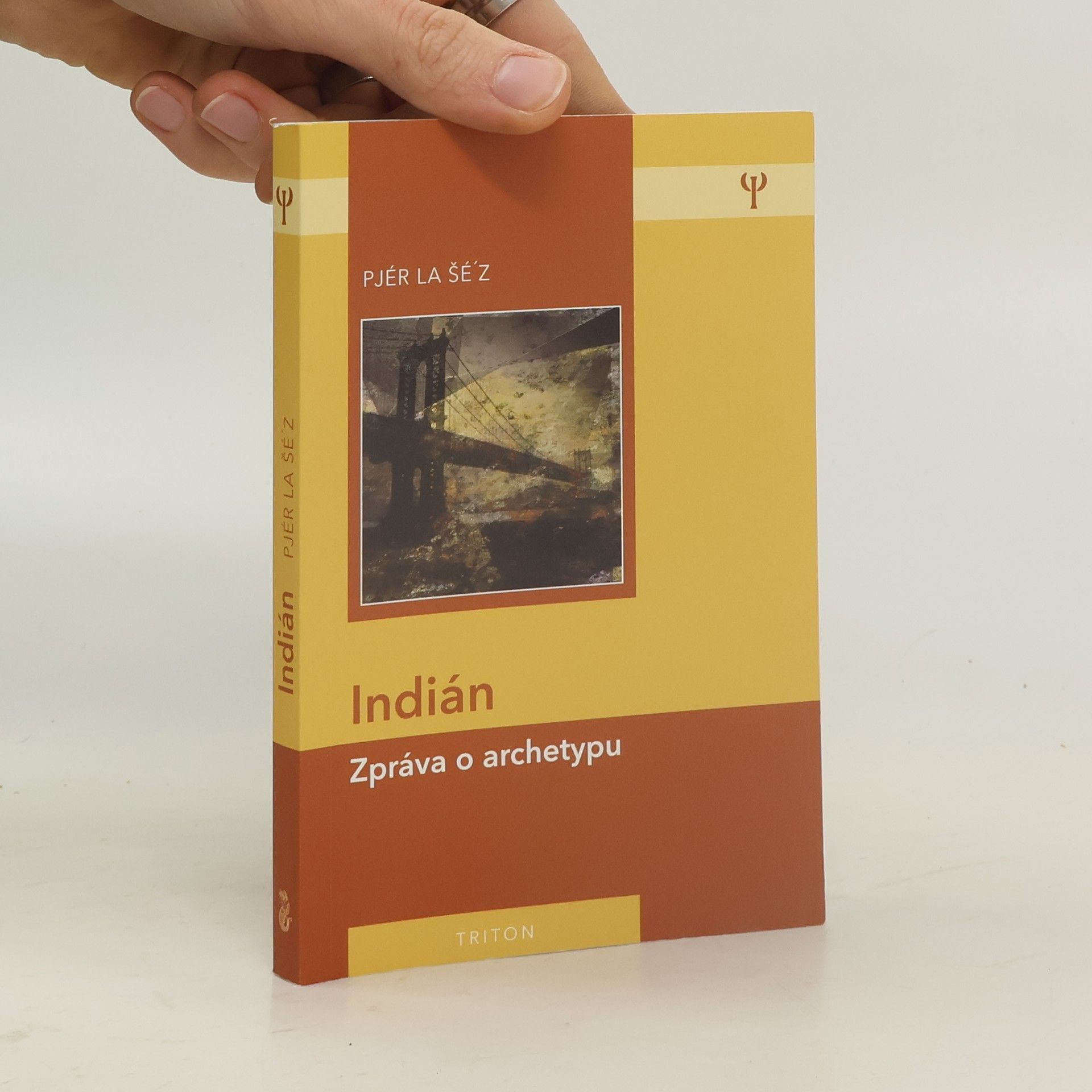 Pjér la Šéz Indián: Zpráva o archetypu