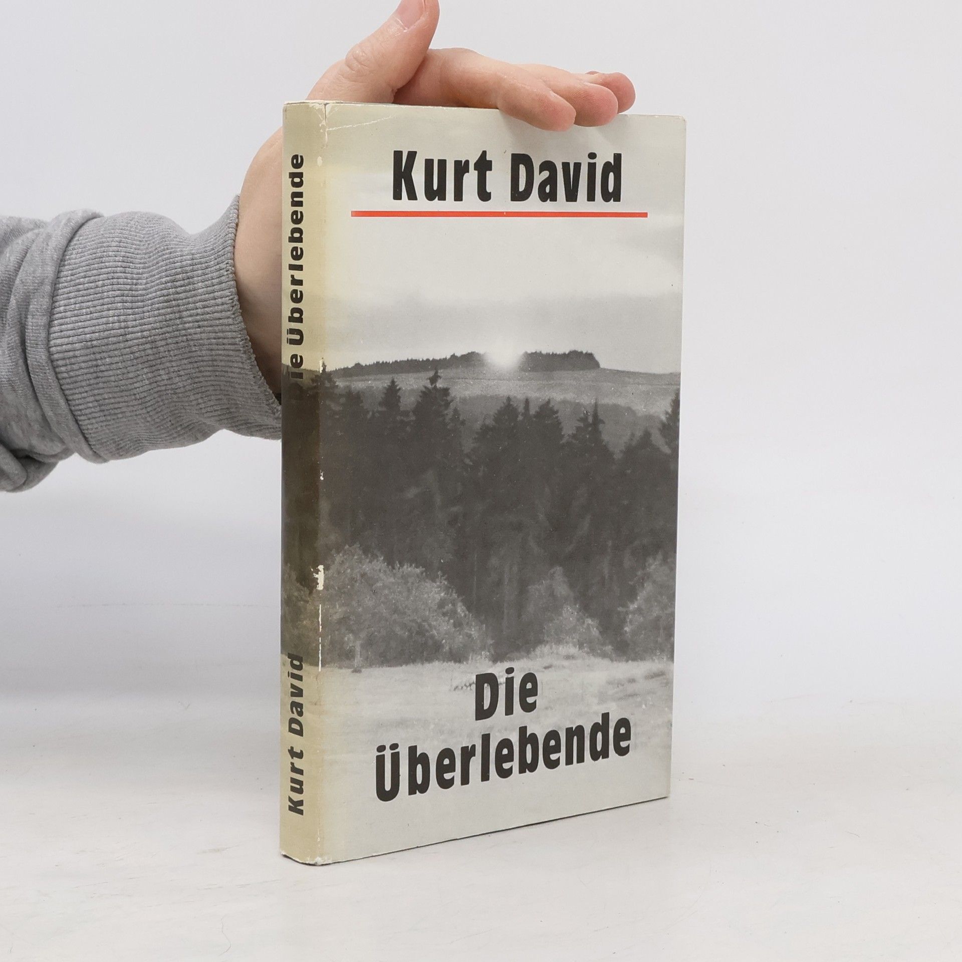 Kurt David Die Überlebende