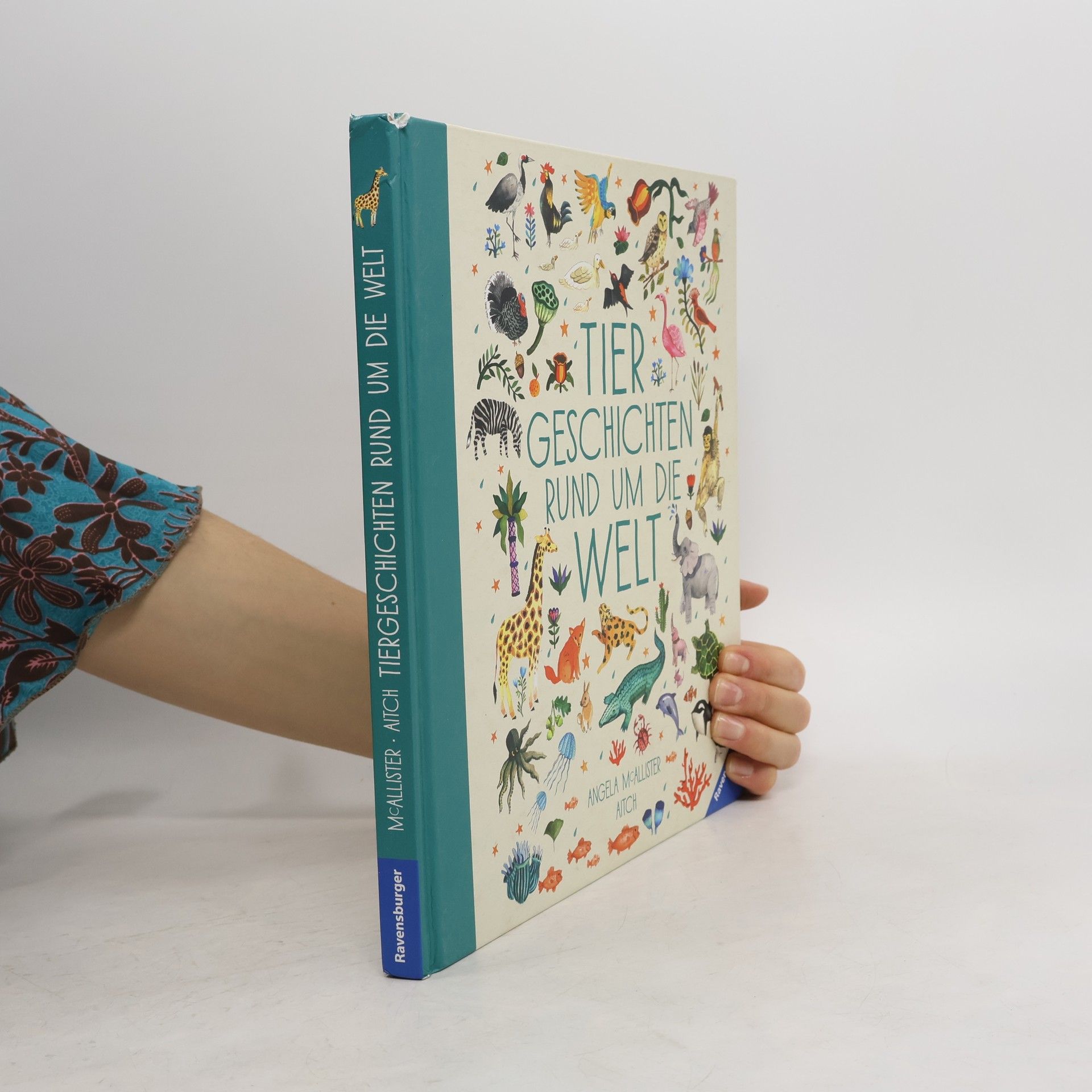 Angela McAllister Tiergeschichten rund um die Welt