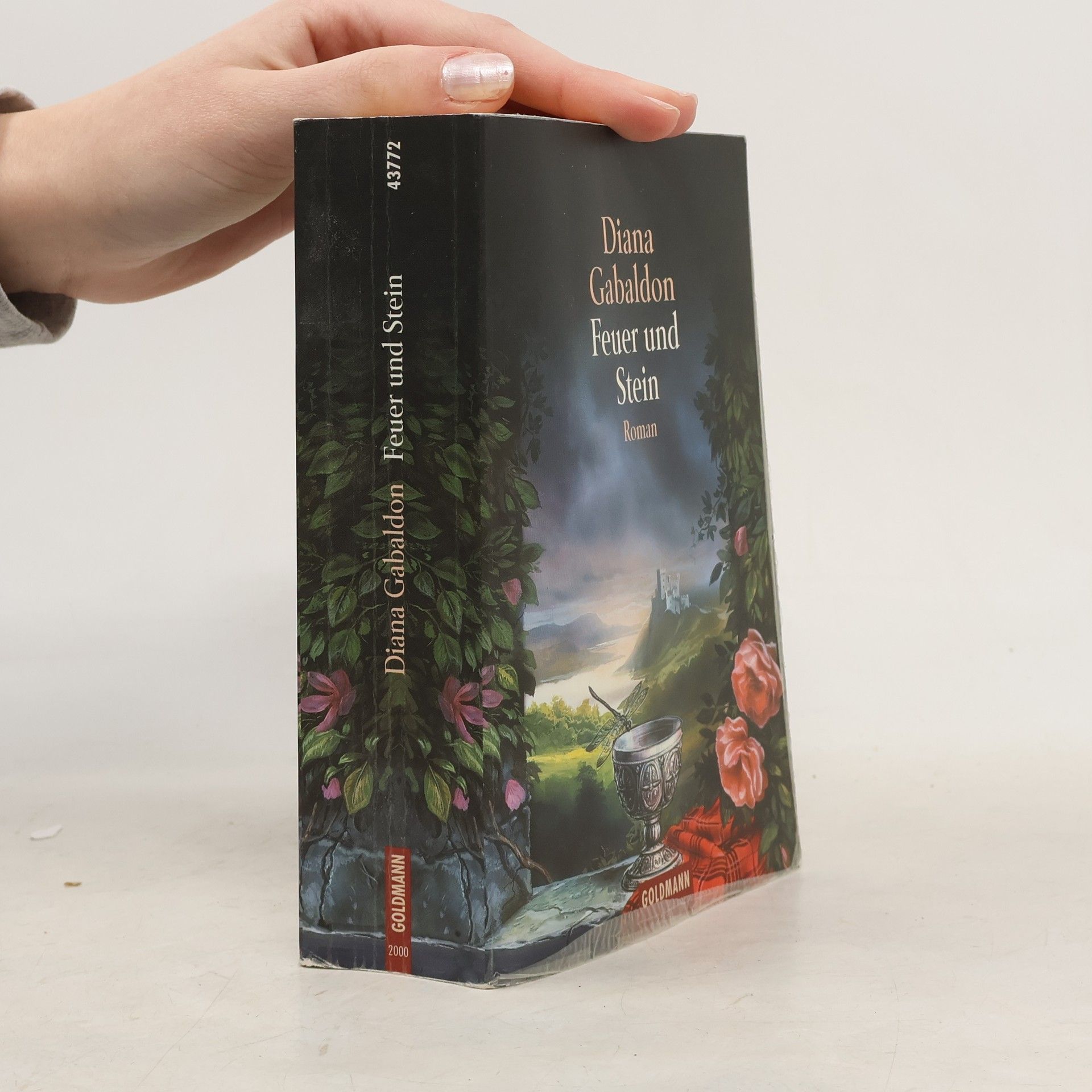 Diana Gabaldon Feuer und Stein