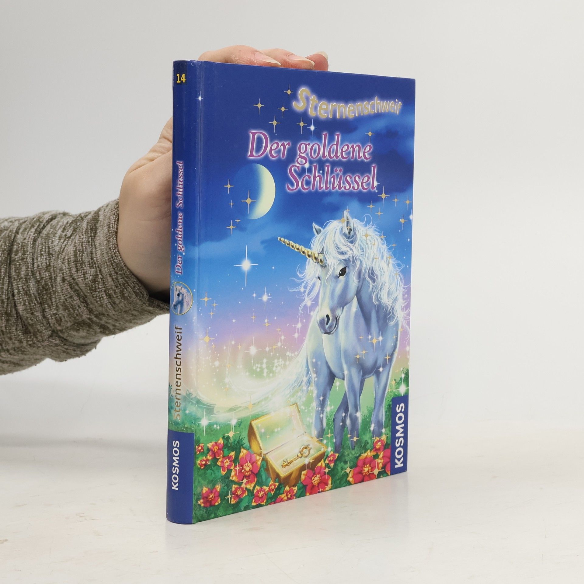 Linda Chapman Sternenschweif. Der goldene Schlüssel 14