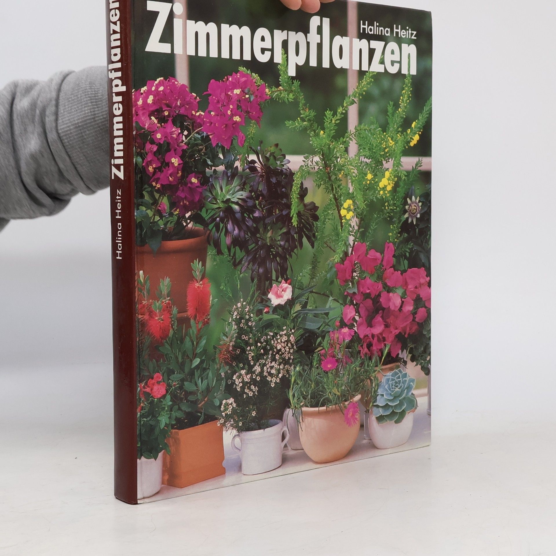 Zimmerpflanzen