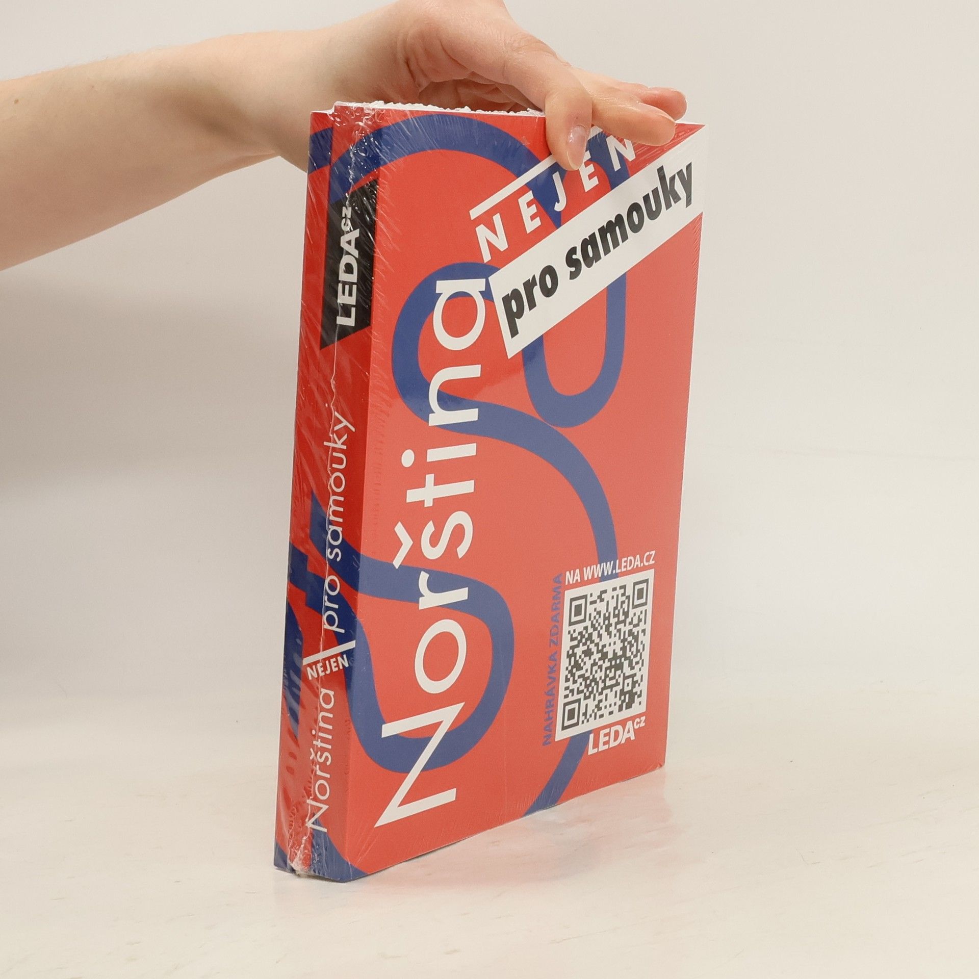 Autores varios Norština nejen pro samouky