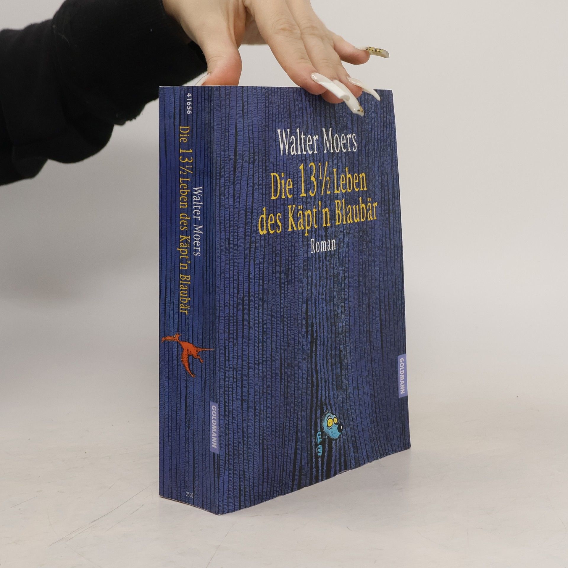 Walter Moers Die 13 1/2 Leben des Käpt’n Blaubär
