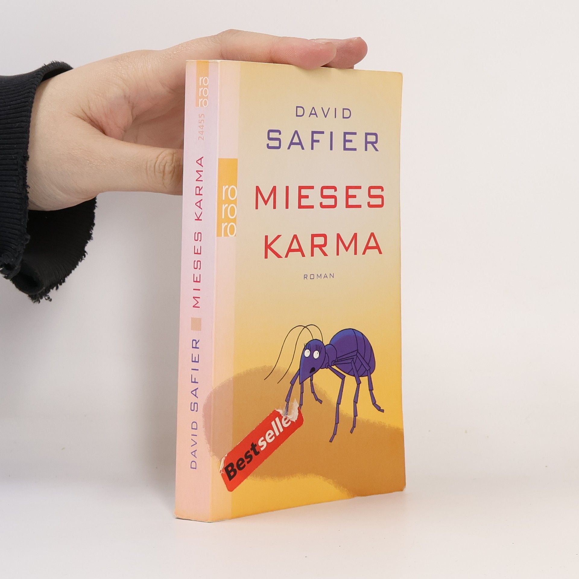 David Safier Mieses Karma