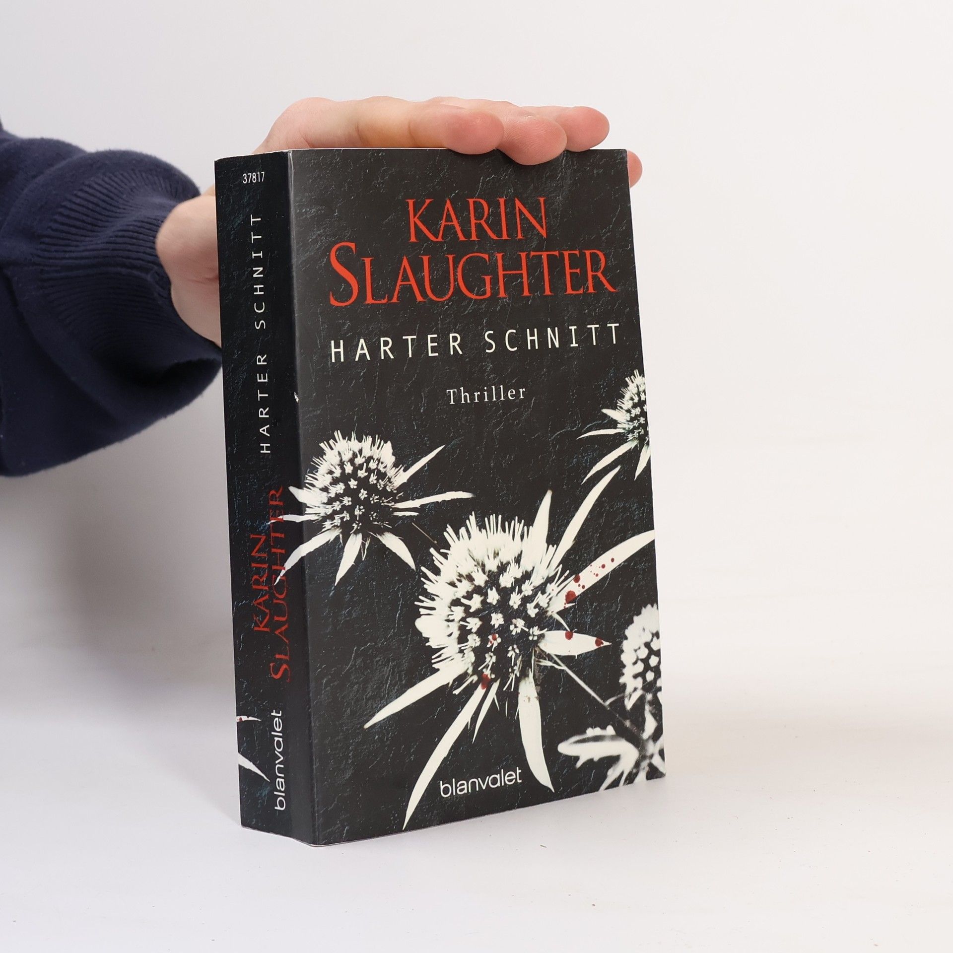 Karin Slaughter Harter Schnitt