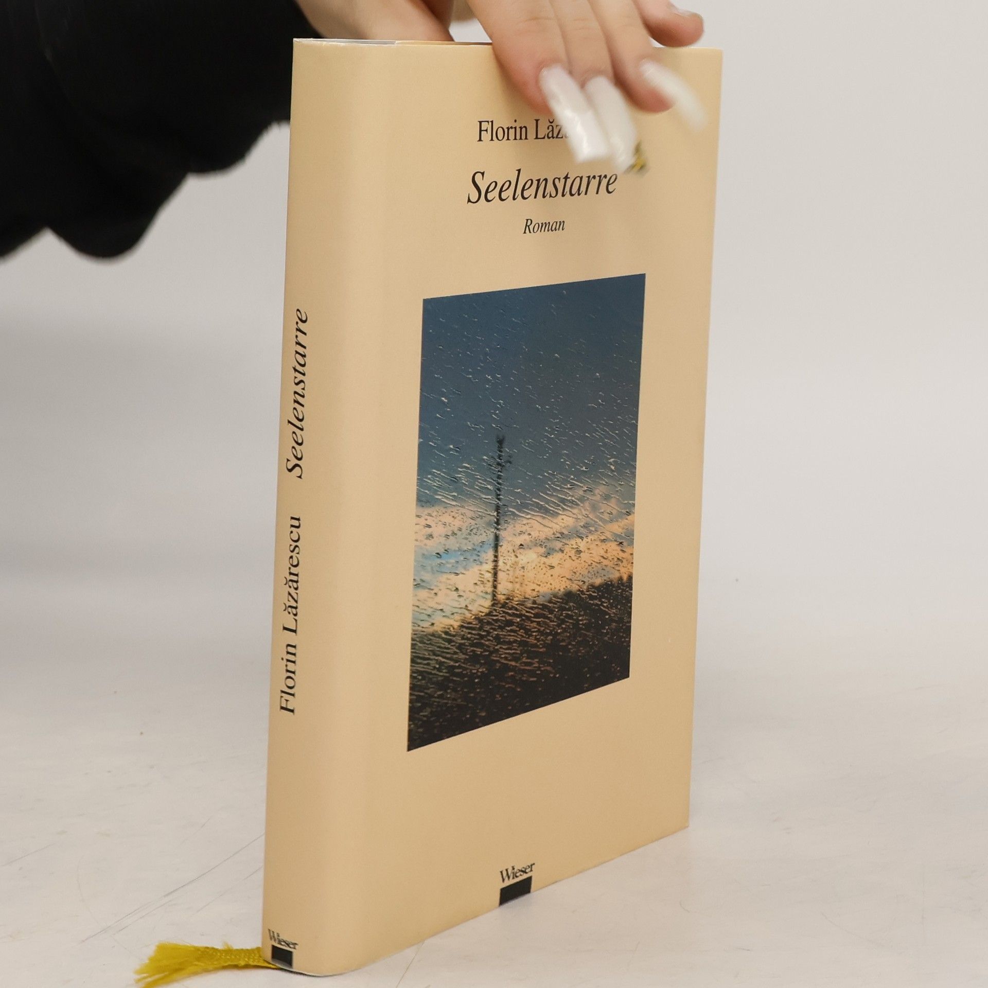 Florin Lǎzǎrescu Seelenstarre