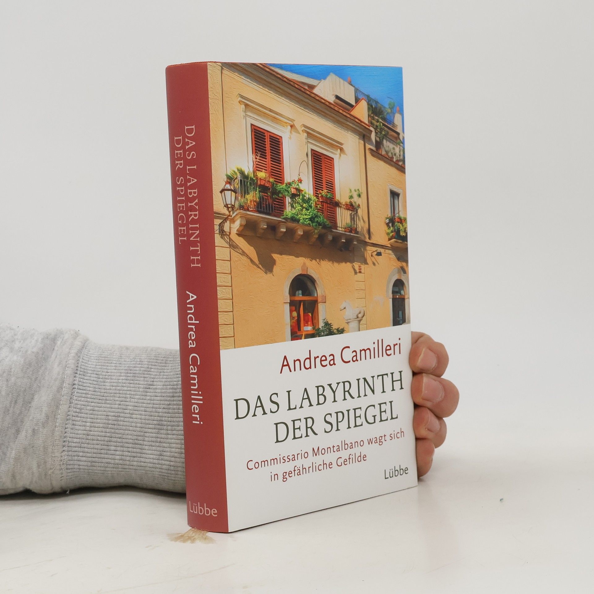 Andrea Camilleri Das Labyrinth der Spiegel