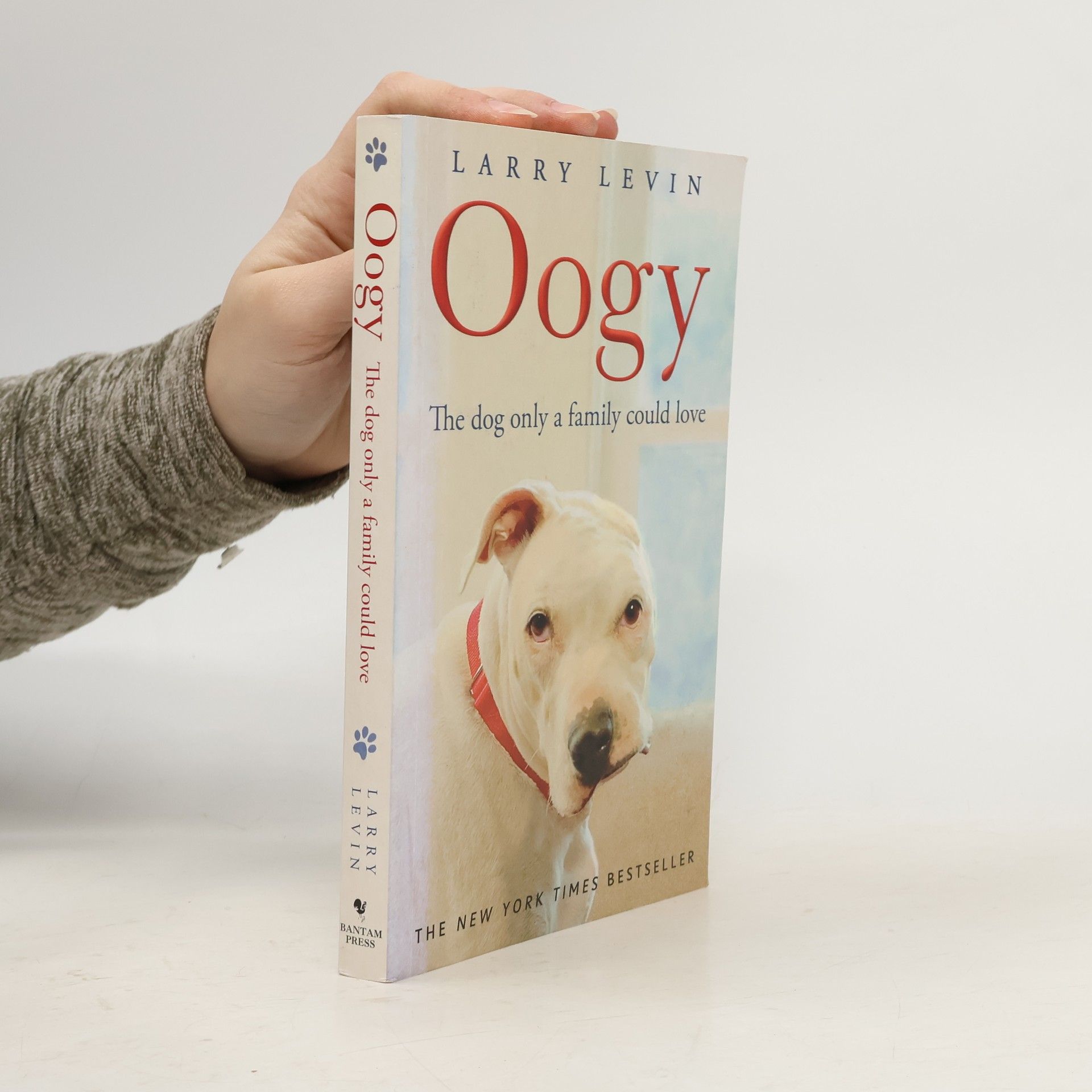 Laurence M. Levin Oogy