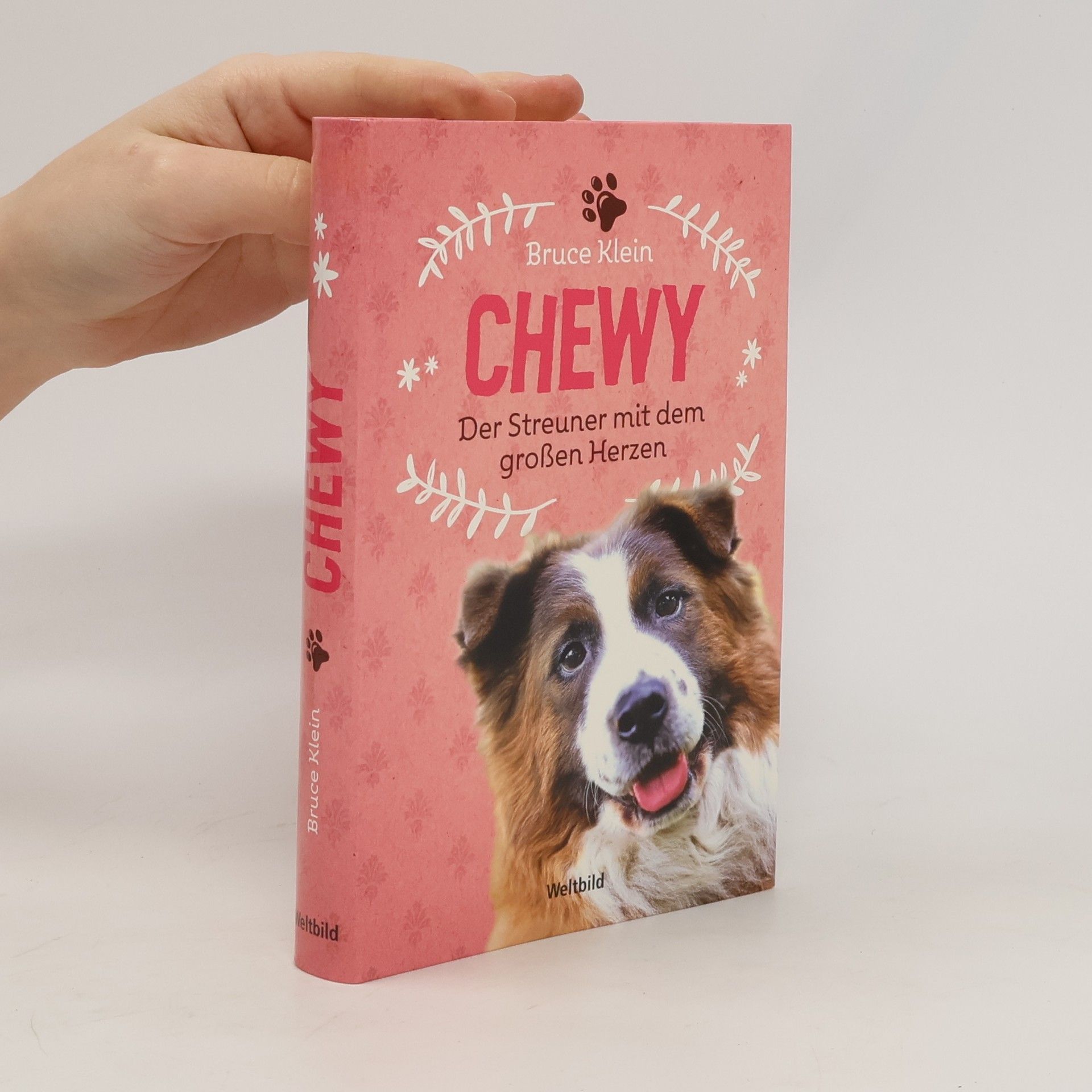 Bruce Klein Chewy. Der Streuner mit dem grossen Herzen