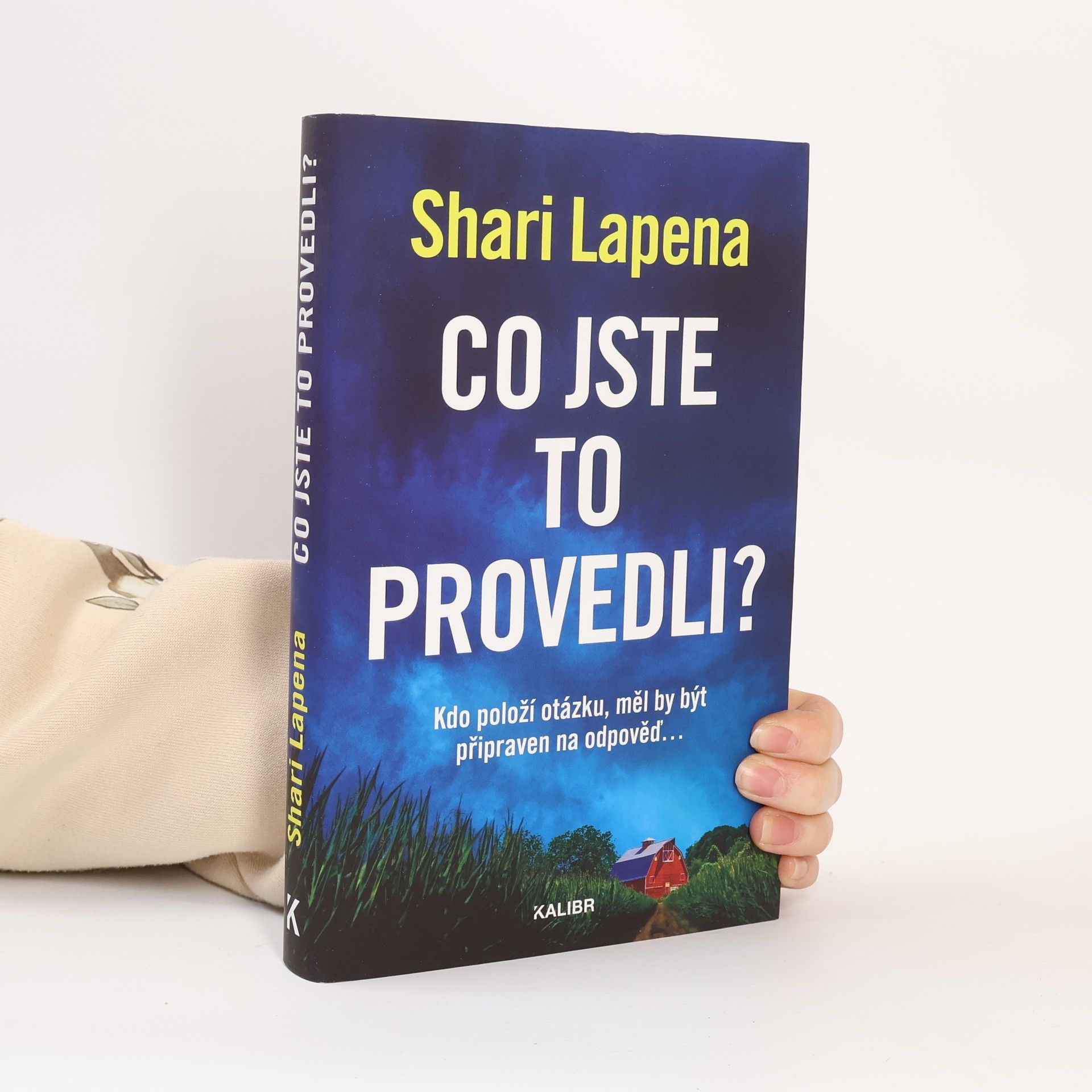 Shari Lapena Co jste to provedli?