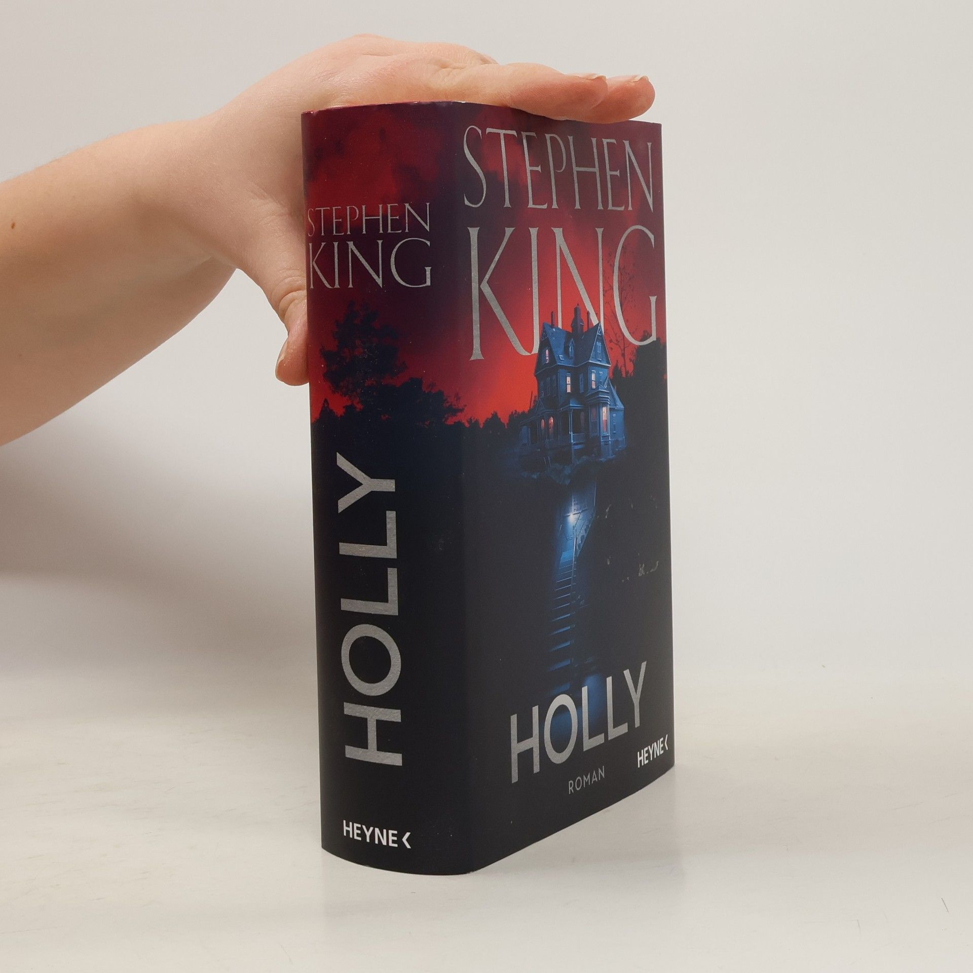 Stephen King Holly