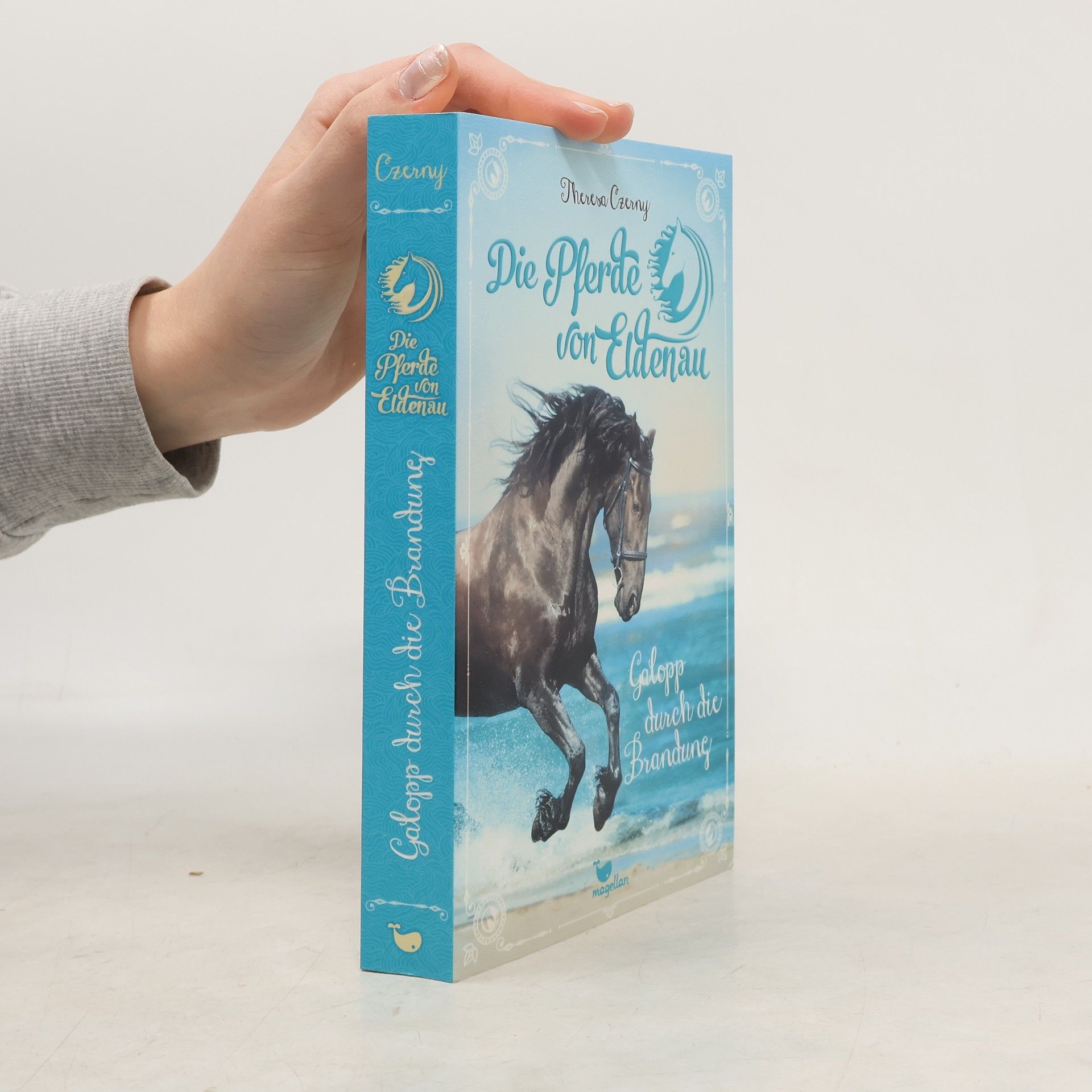 Theresa Czerny Die Pferde von Eldenau: Galopp durch die Brandung