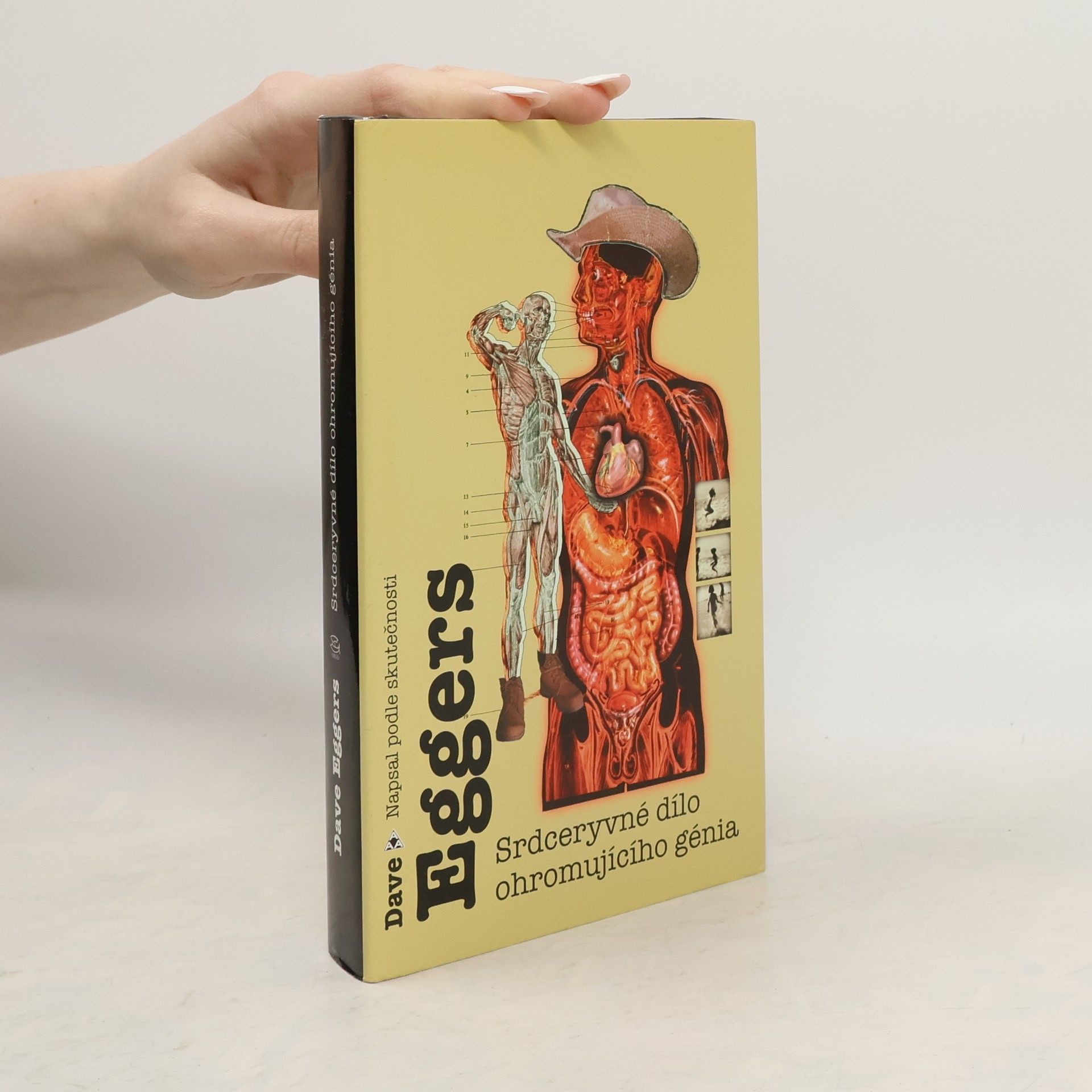 Dave Eggers Srdceryvné dílo ohromujícího génia