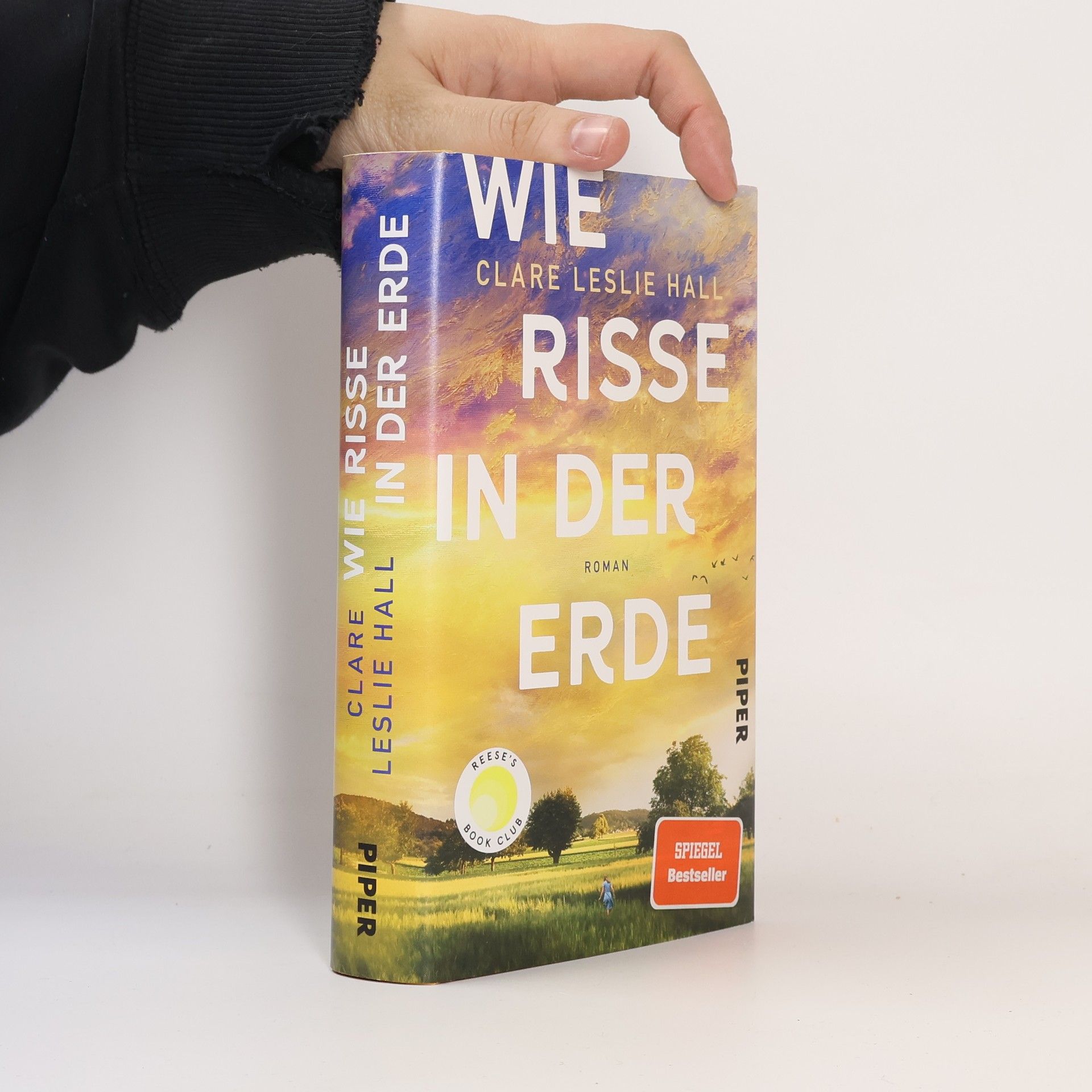 Clare Leslie Hall Wie Risse in der Erde