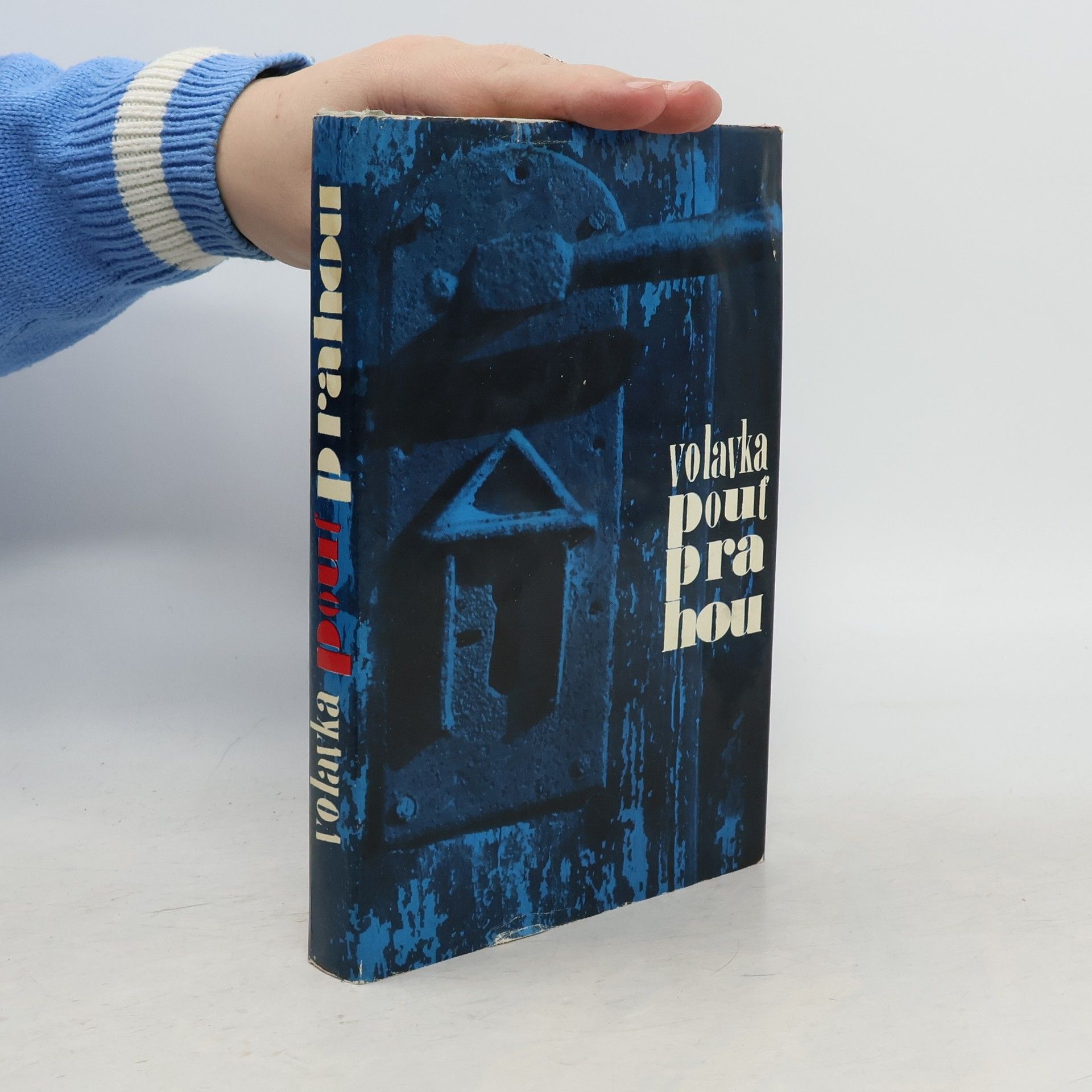 Vojtěch Volavka Pouť Prahou