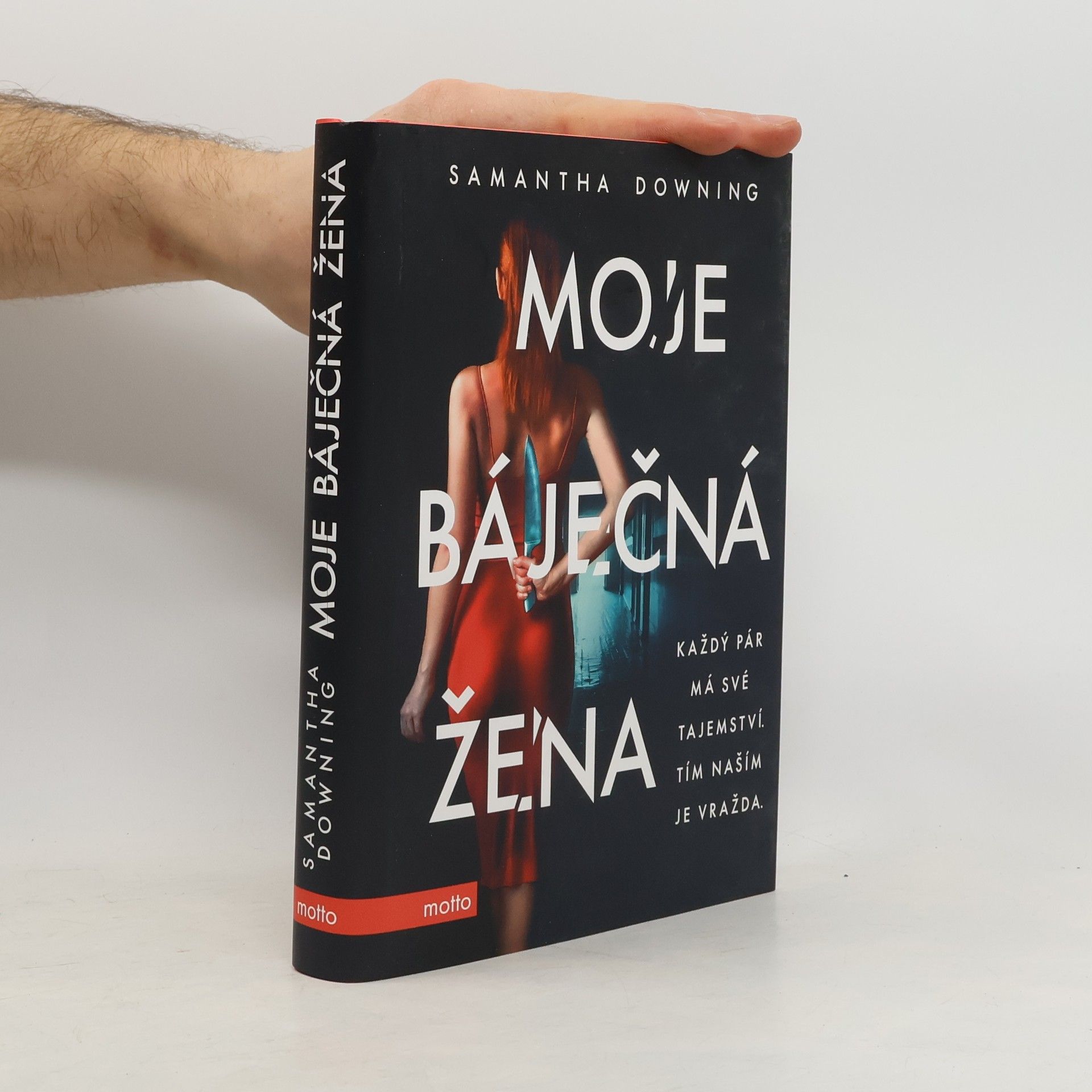 Samantha Downing Moje báječná žena