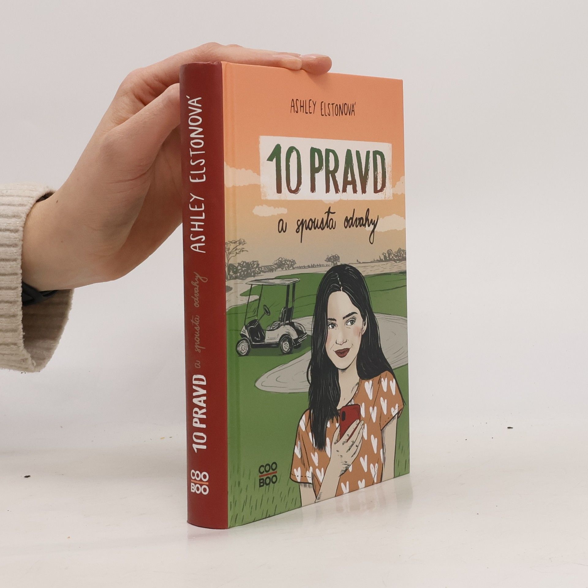 Ashley Elston 10 pravd a spousta odvahy