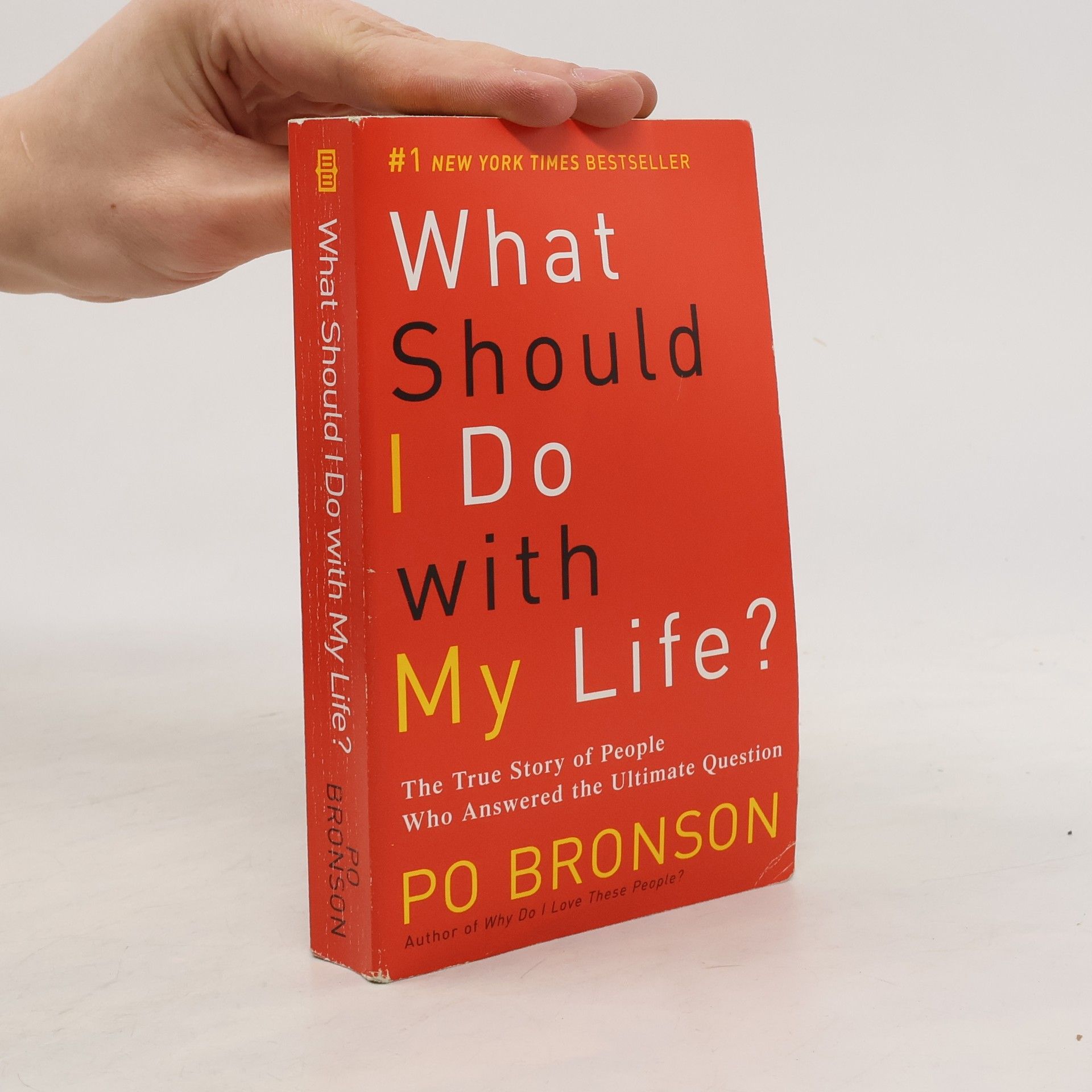 Po Bronson What Should I Do with My Life?