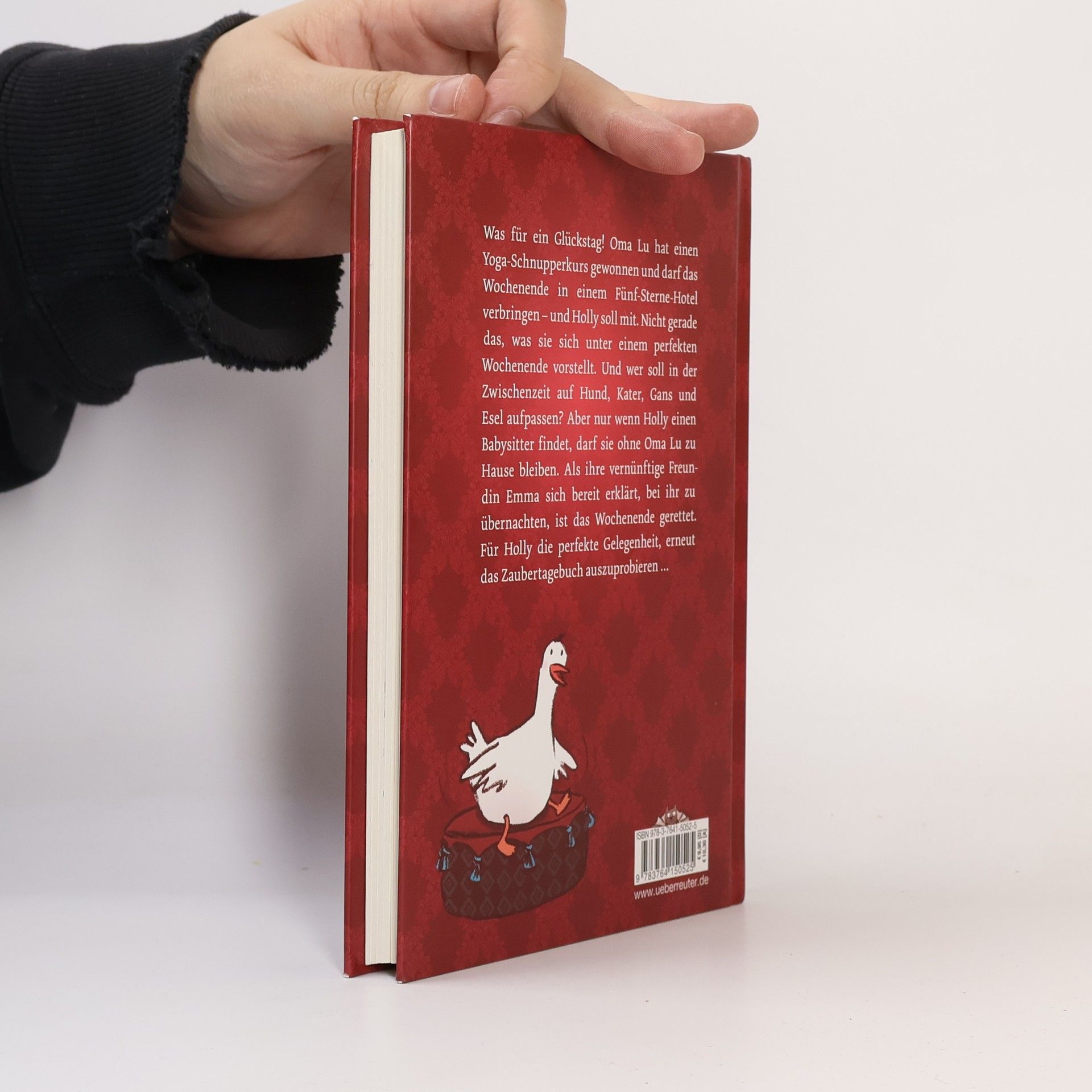 Sibylle Rieckhoff Holly und das Zaubertagebuch - Endlich sturmfrei!
