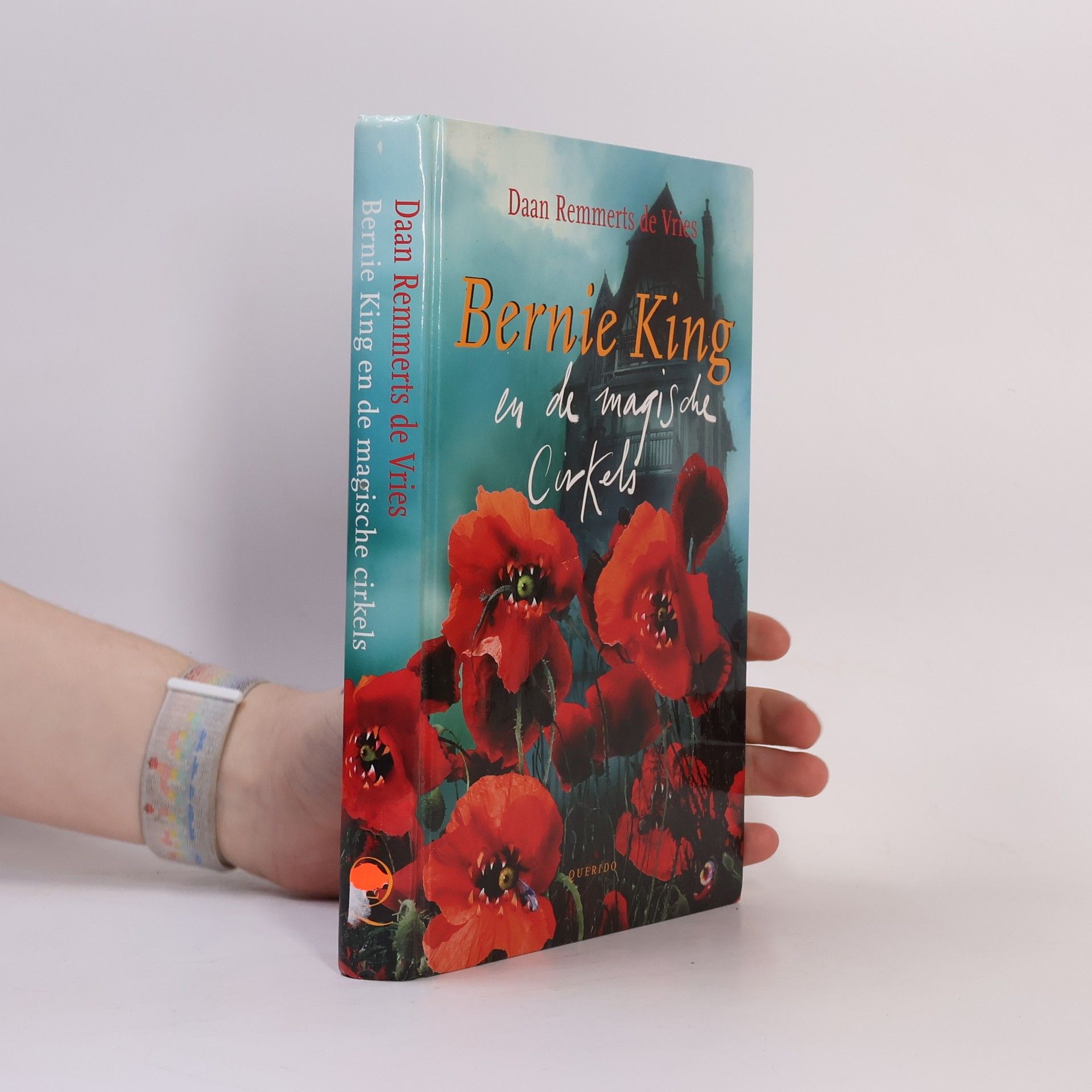 Daan Remmerts de Vries Bernie King en de magische cirkels - druk 1