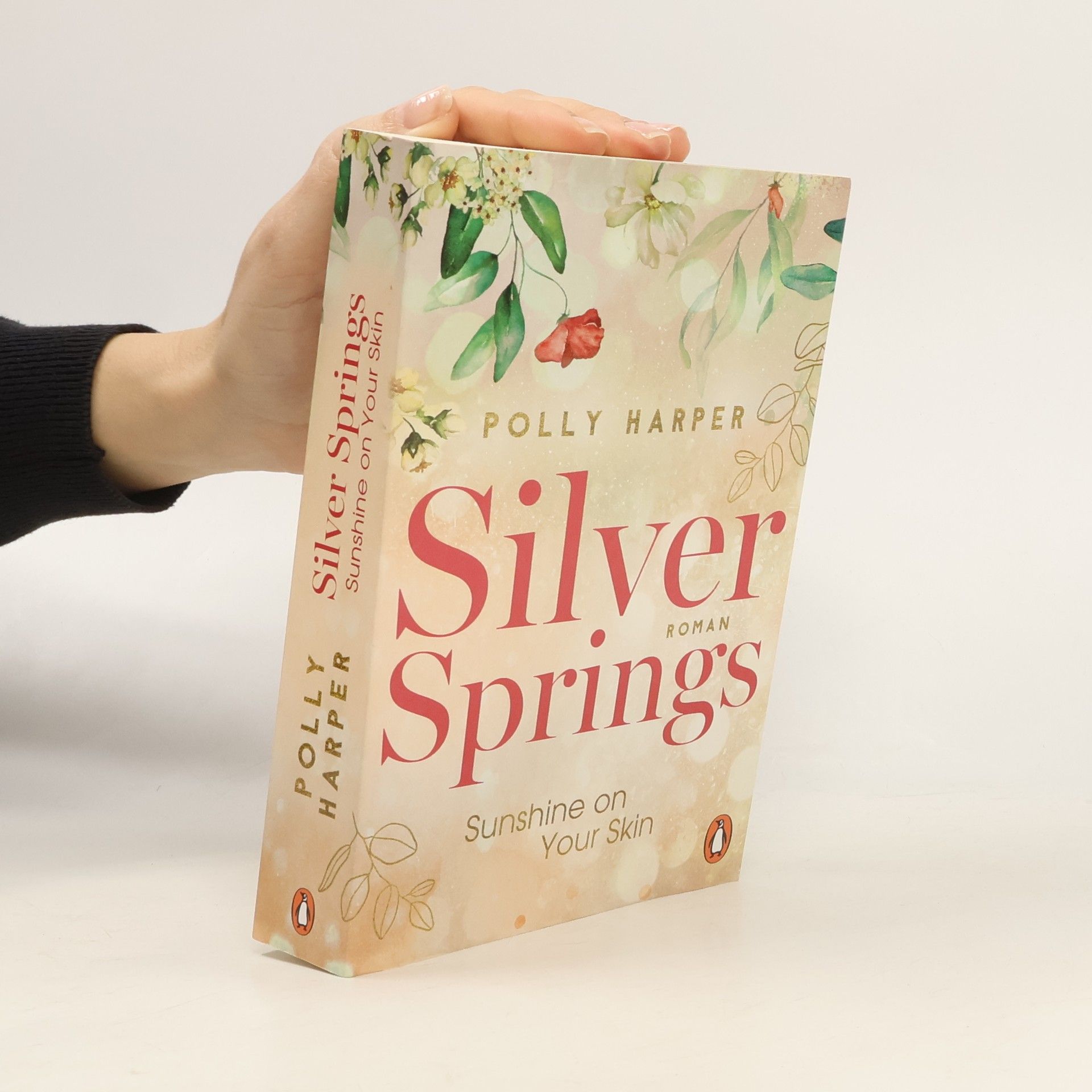 Silver Springs - Sunshine on your Skin