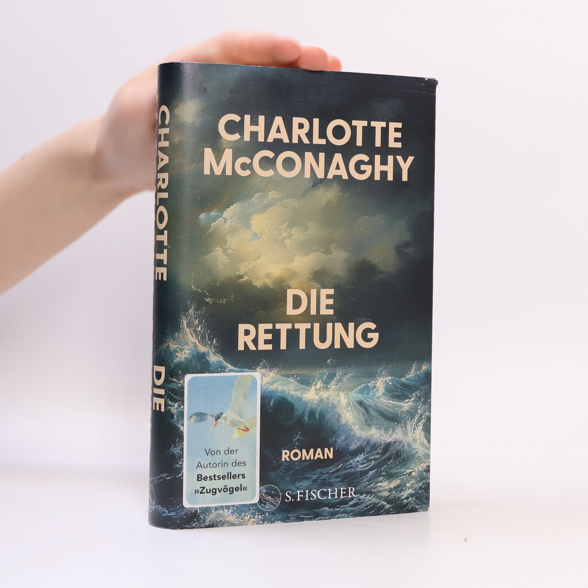 Jan Schönherr Die Rettung