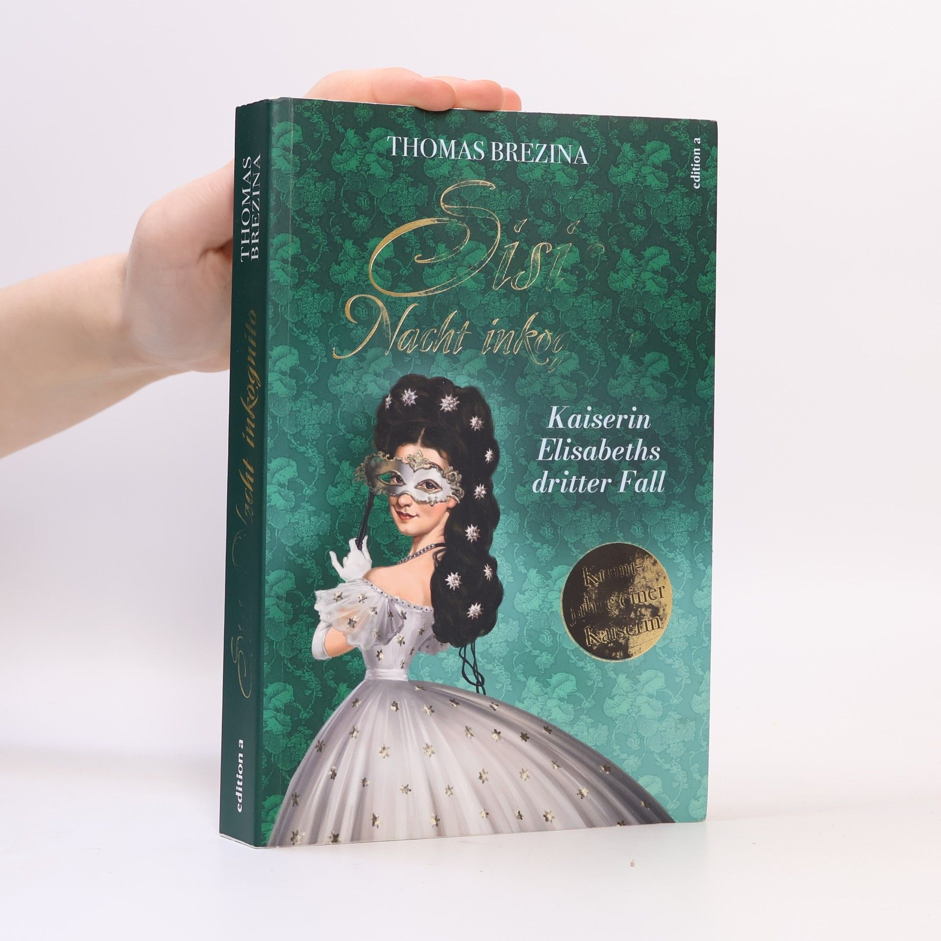 Thomas Brezina Sisis Nacht inkognito