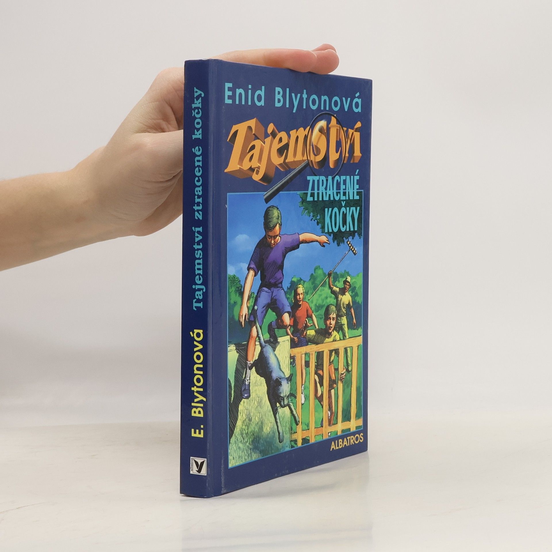 Enid Blyton Tajemství ztracené kočky