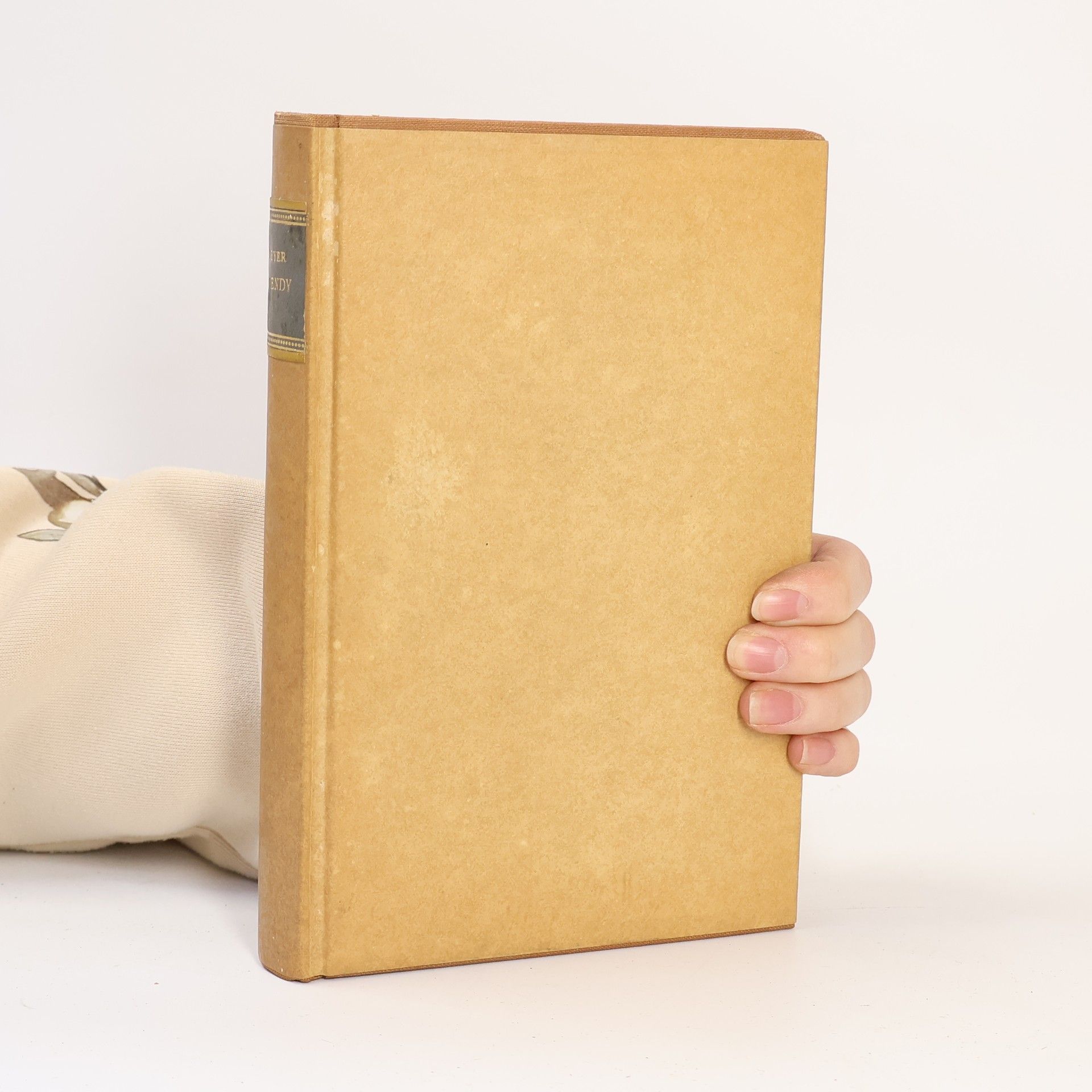 Julius Zeyer Soubor z díla Julia Zeyera 8