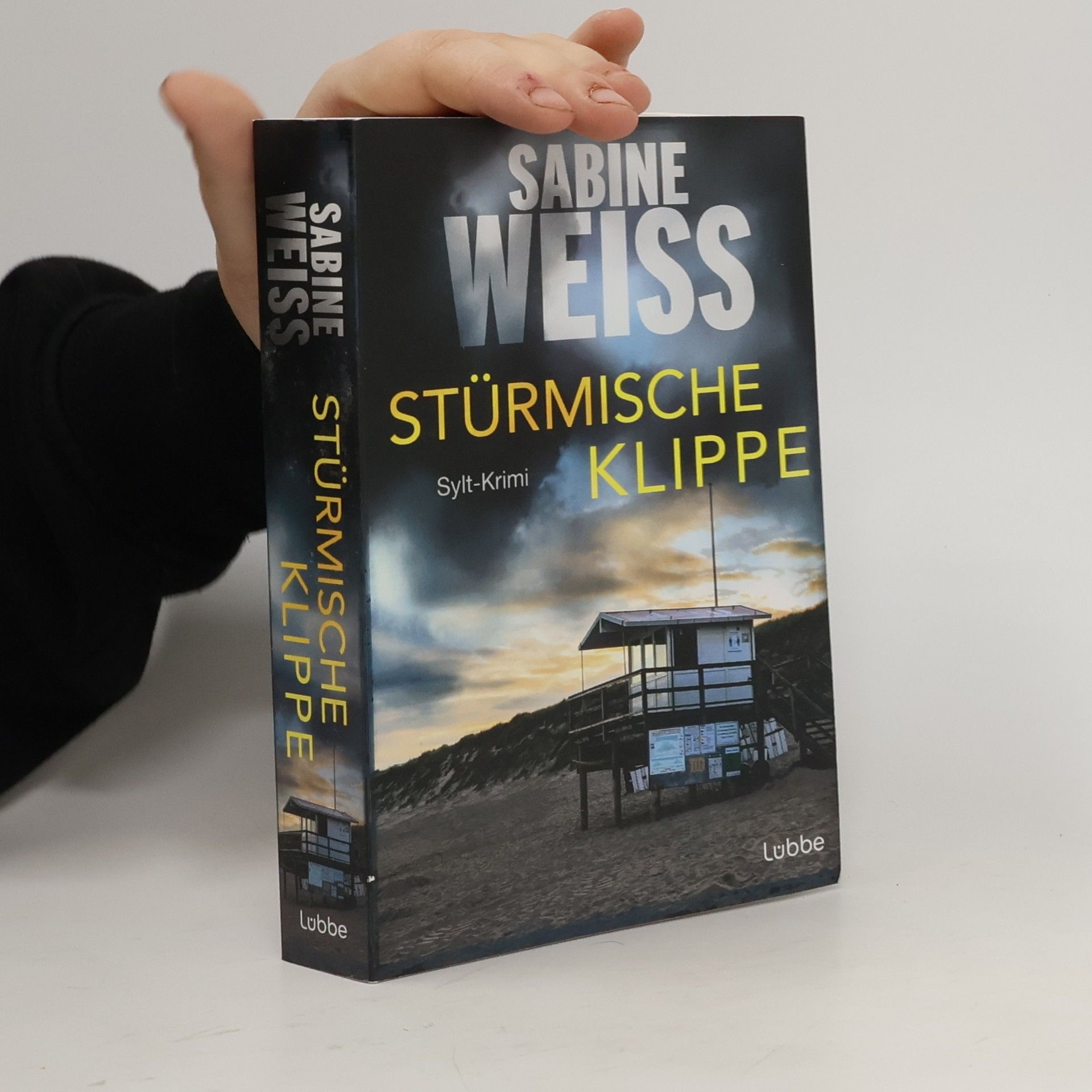 Sabine Weiß Stürmische Klippe