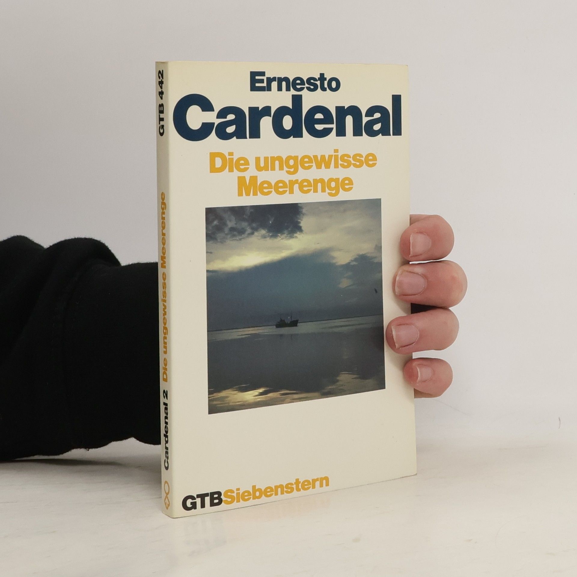 Das poetische Werk - 2: Die ungewisse Meerenge