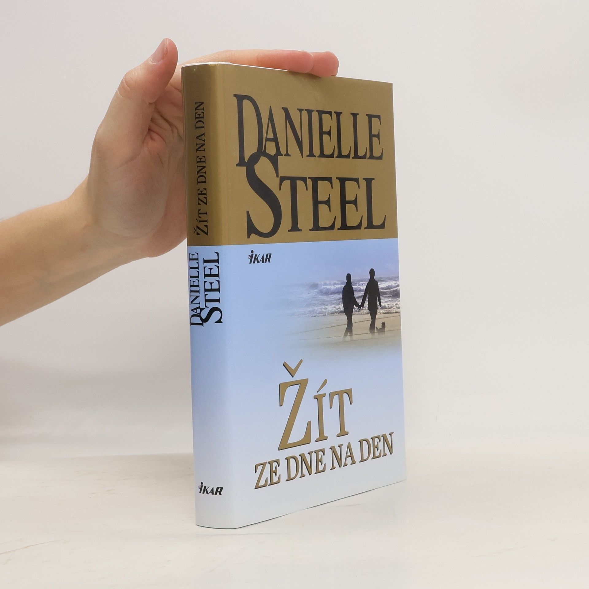 Danielle Steel Žít ze dne na den