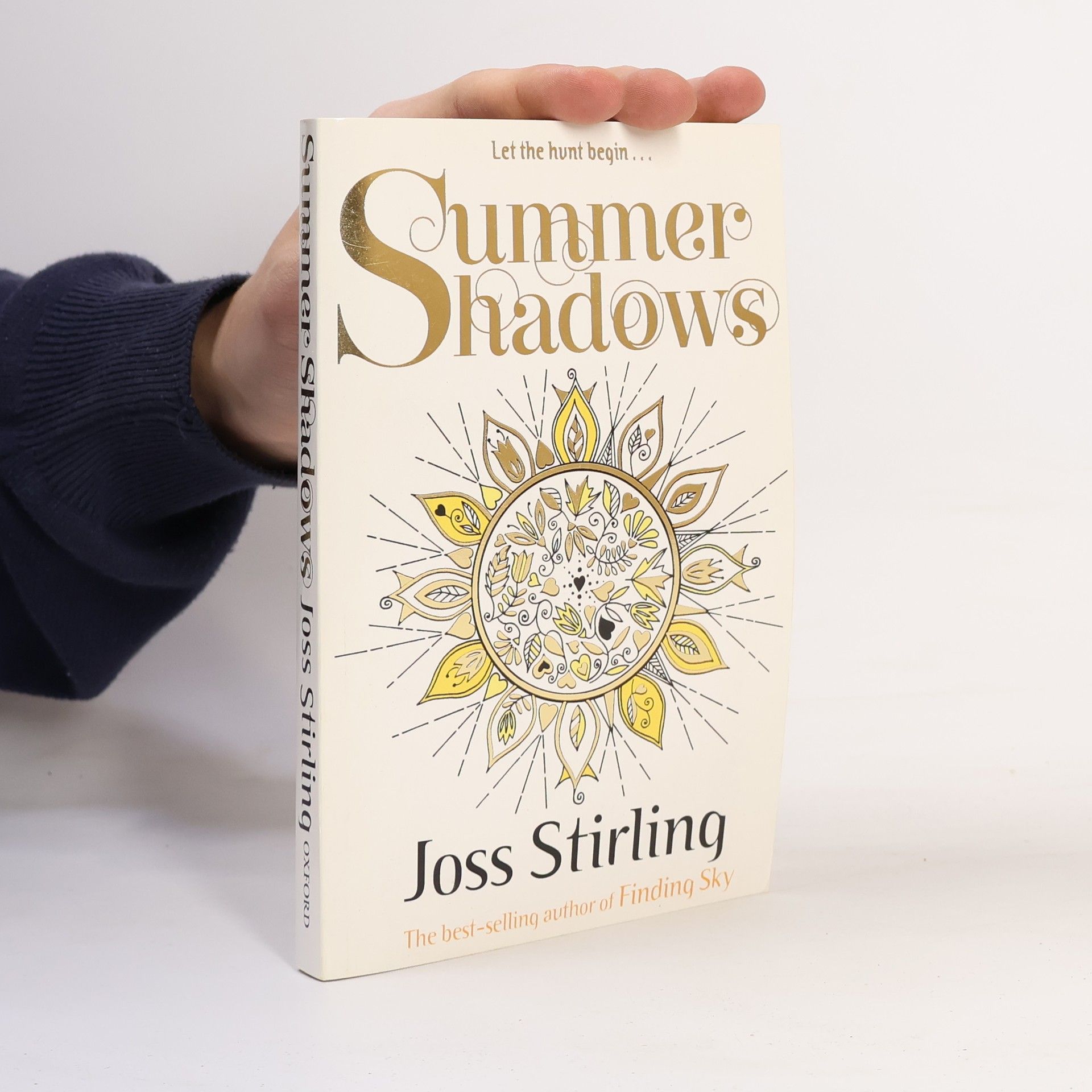 Julia Golding Summer Shadows (FINDING SKY)