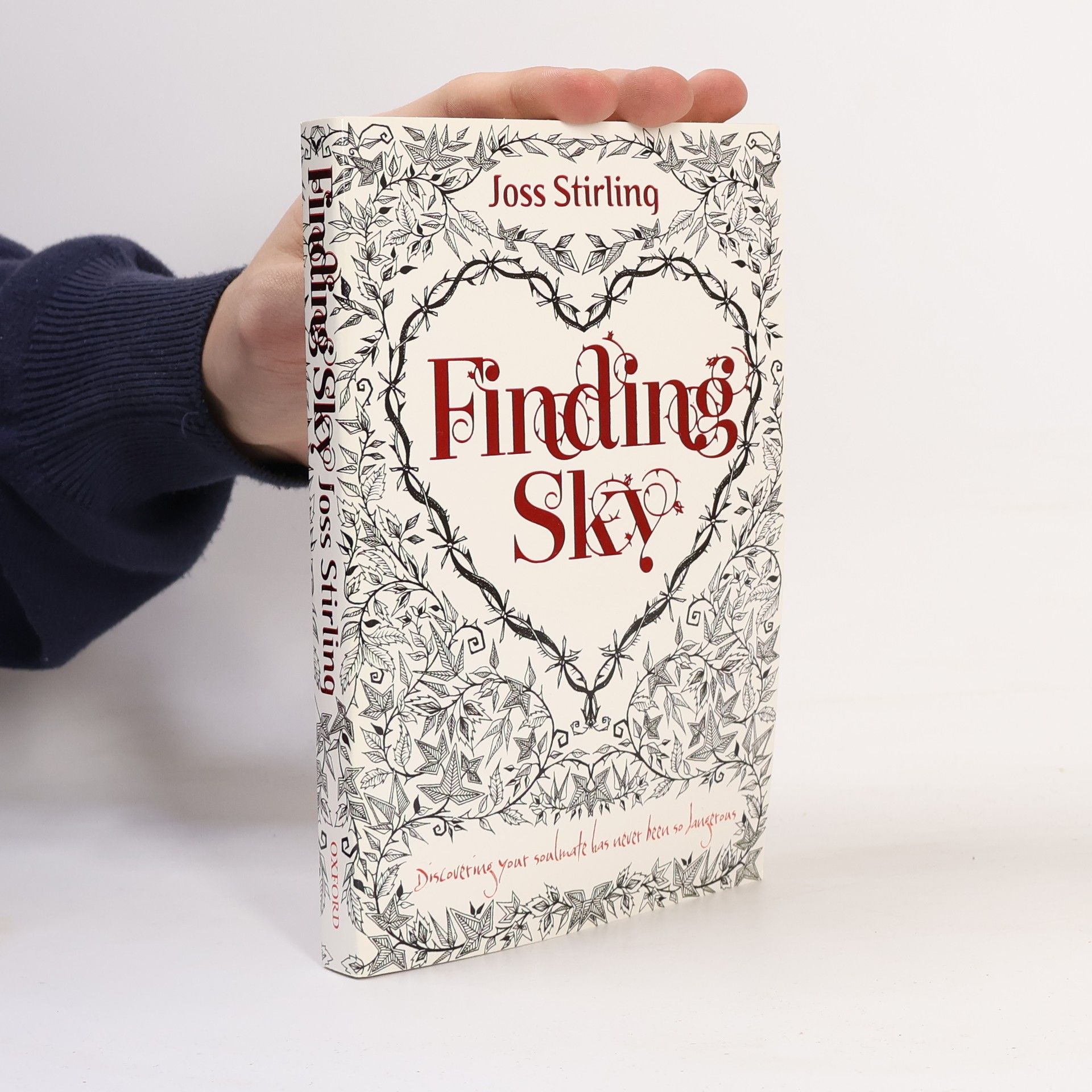 Julia Golding Finding Sky