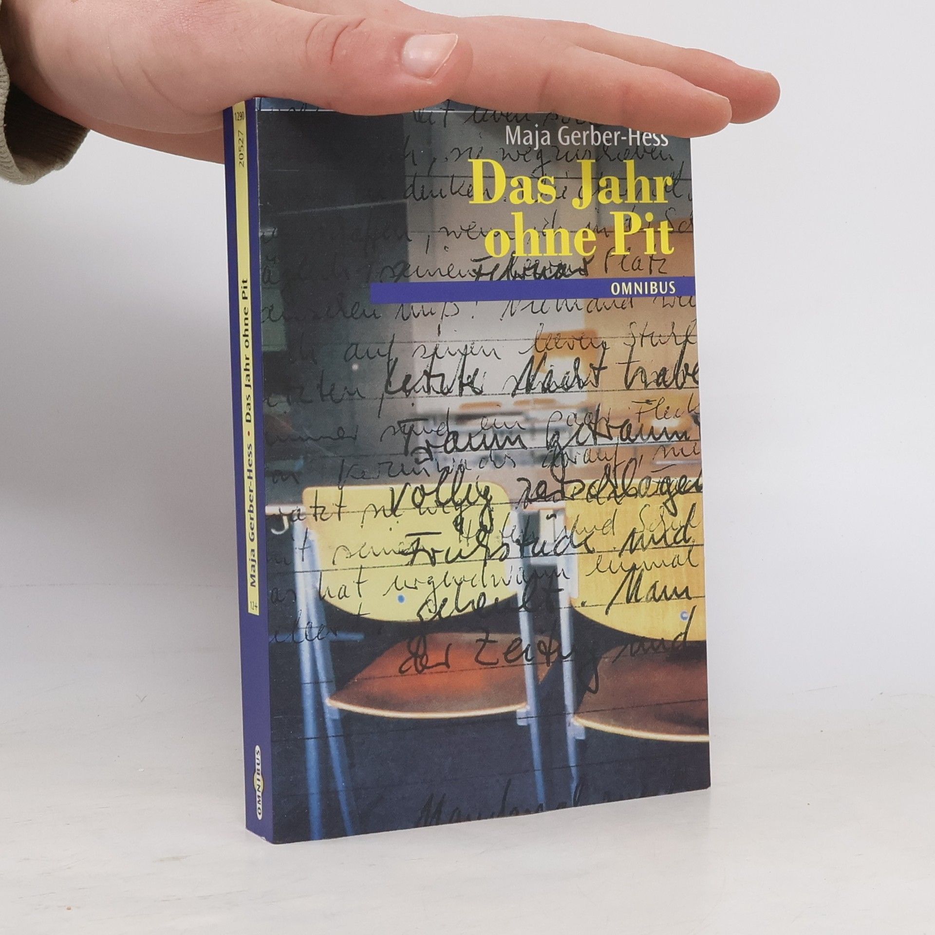 Maja Gerber-Hess Das Jahr ohne Pit