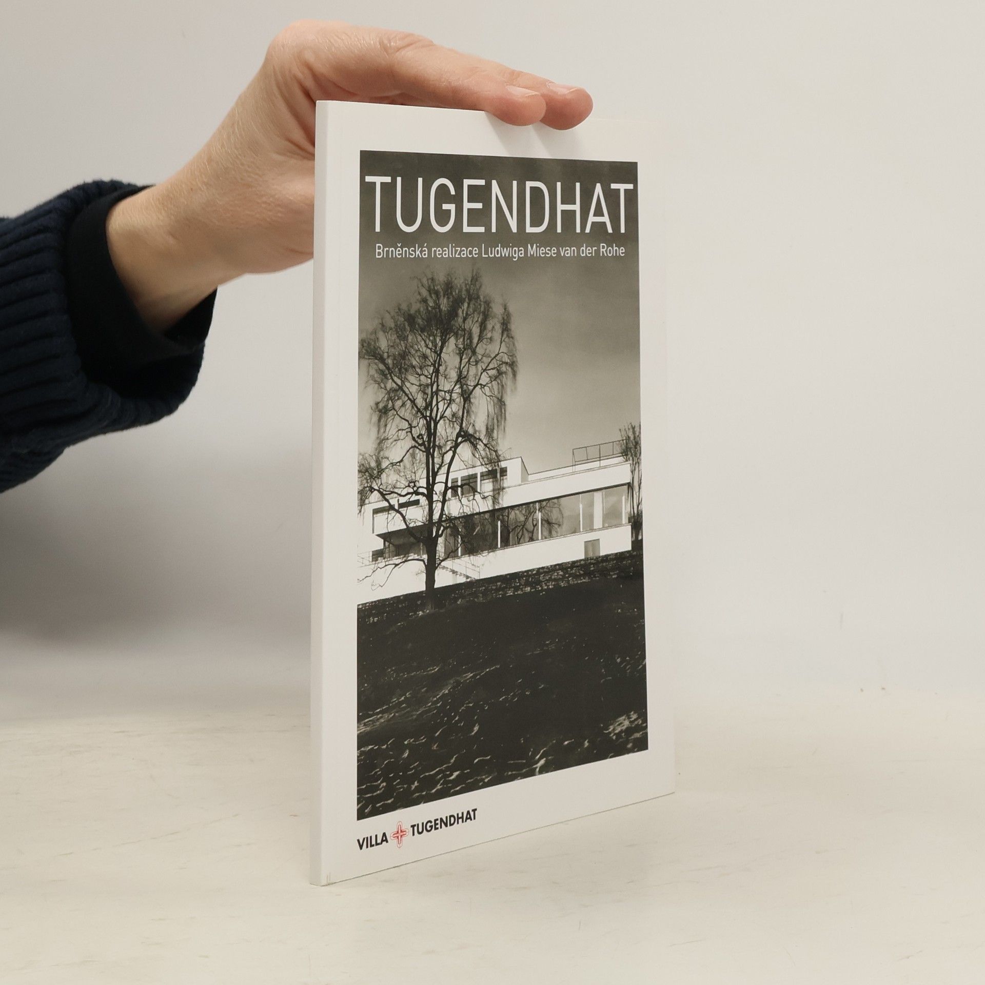 Iveta Černá Tugendhat : brněnská realizace Ludwiga Miese van der Rohe