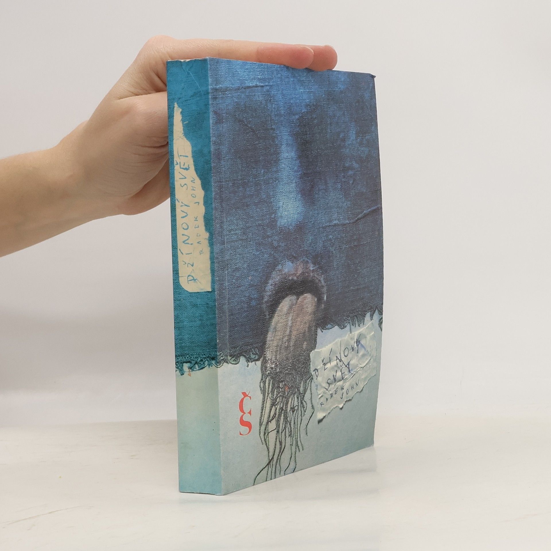 Radek John Džínový svět