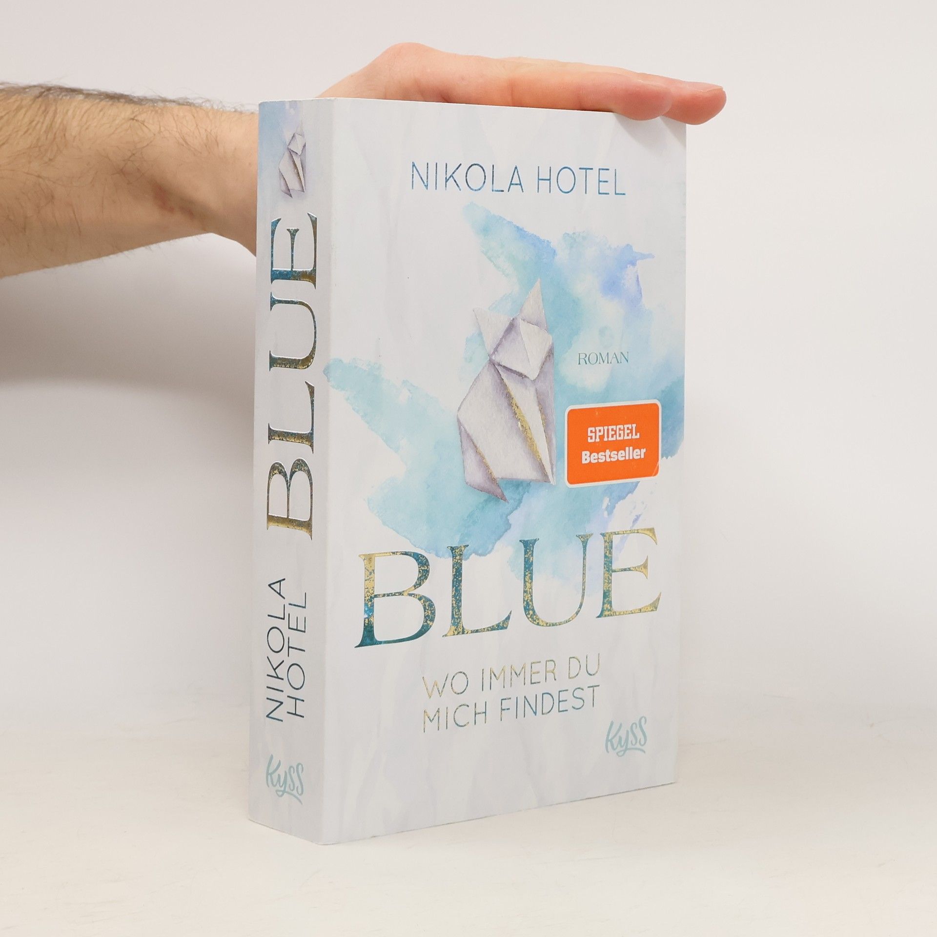 Nikola Hotel Blue. Wo immer du mich findest