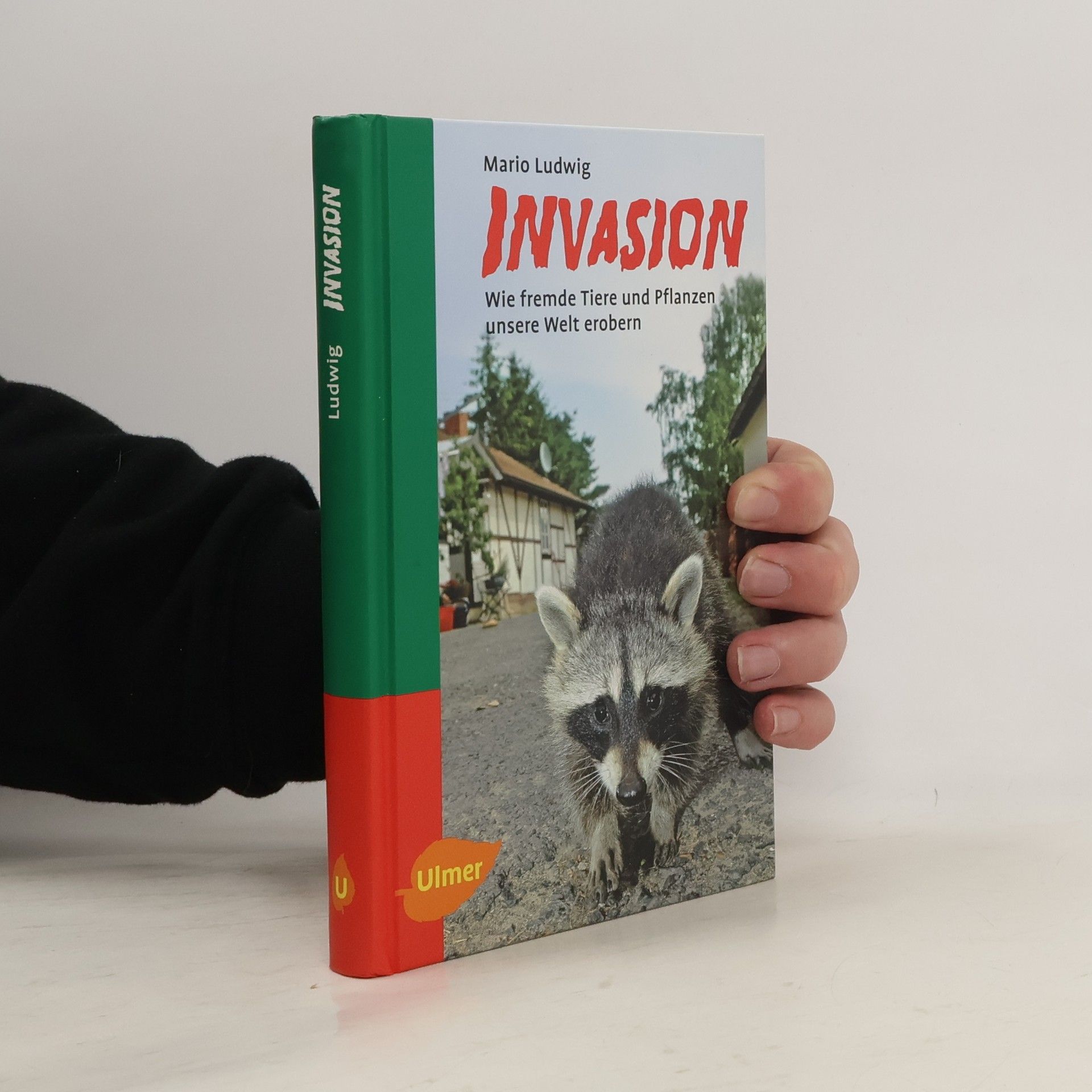 Mario Ludwig Invasion