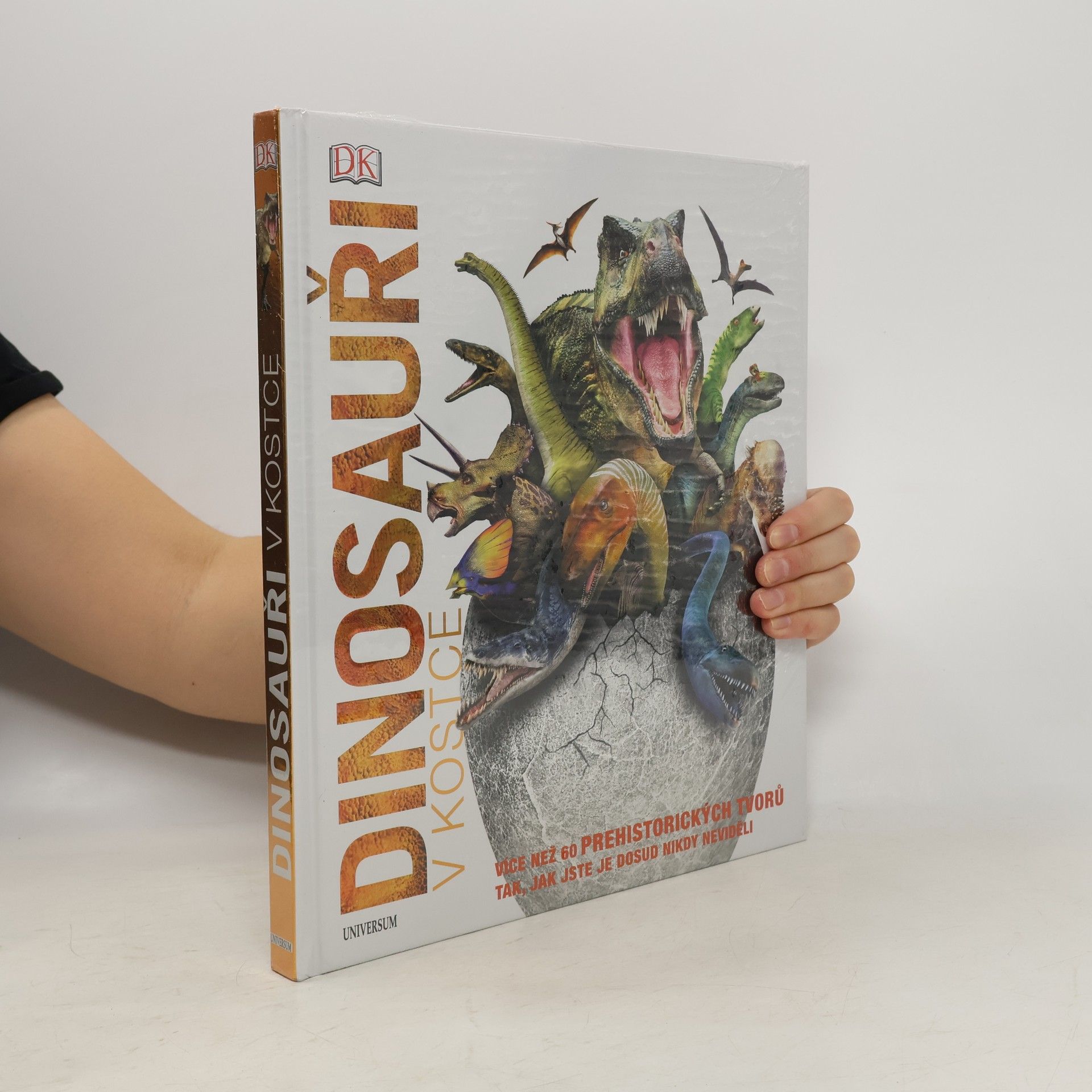 Kolektiv autorů Dinosauři v kostce