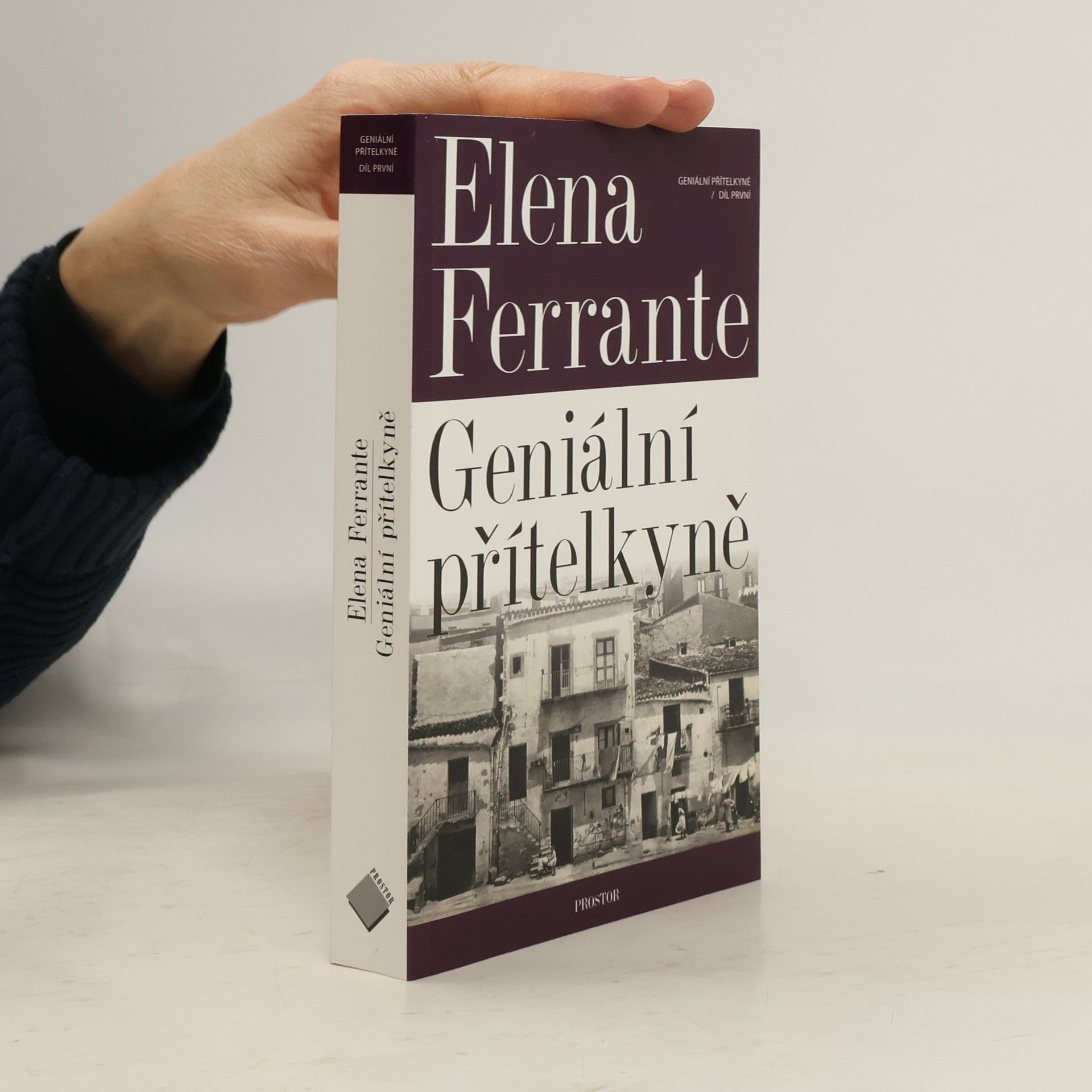 Elena Ferrante Geniální přítelkyně 1. Dětství a dospívání