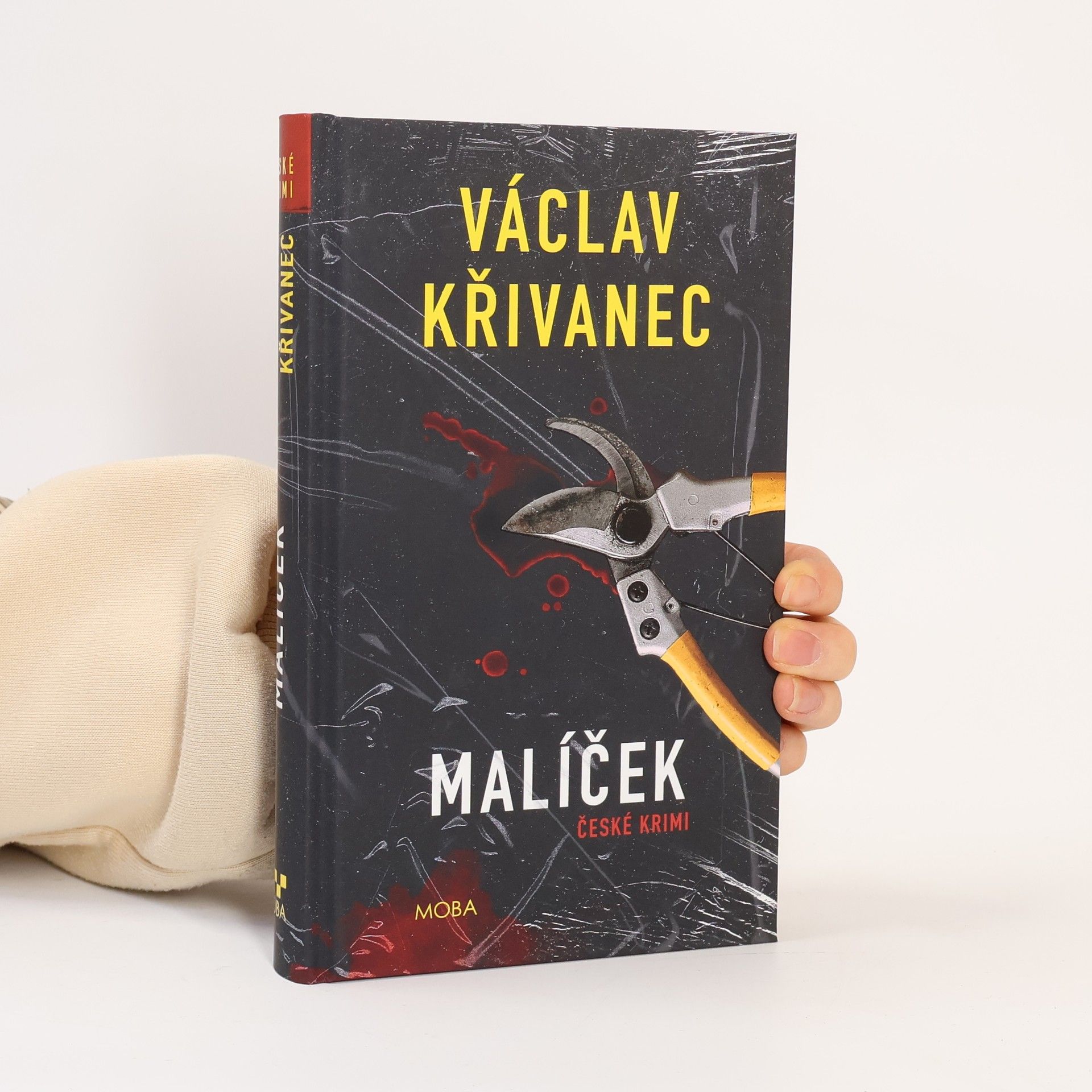 Václav Křivanec Malíček